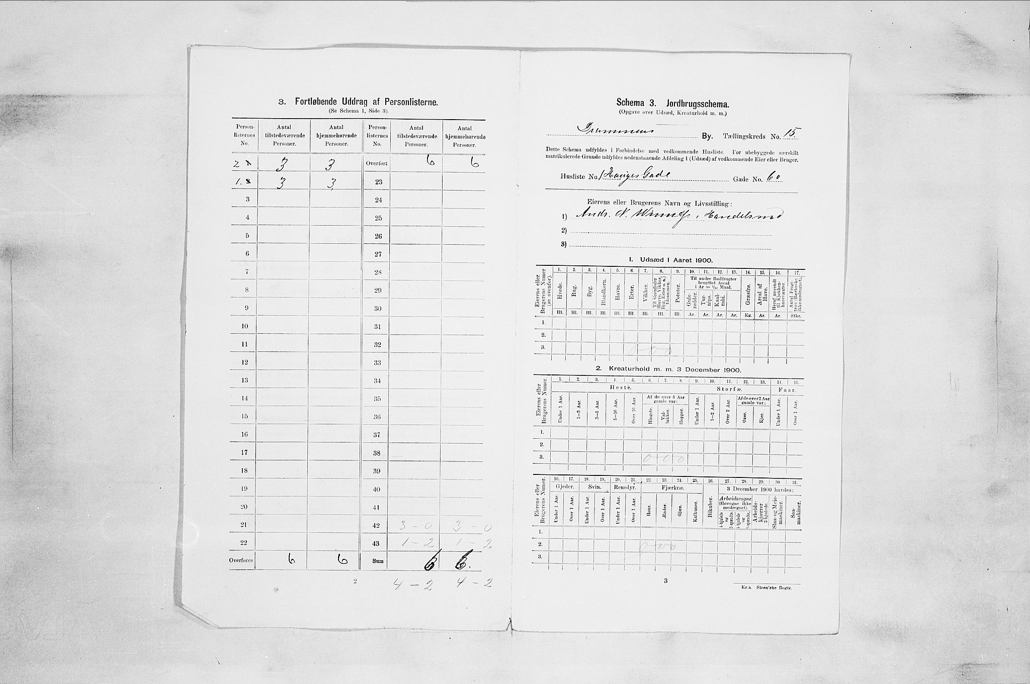 RA, 1900 census for Drammen, 1900, p. 2750