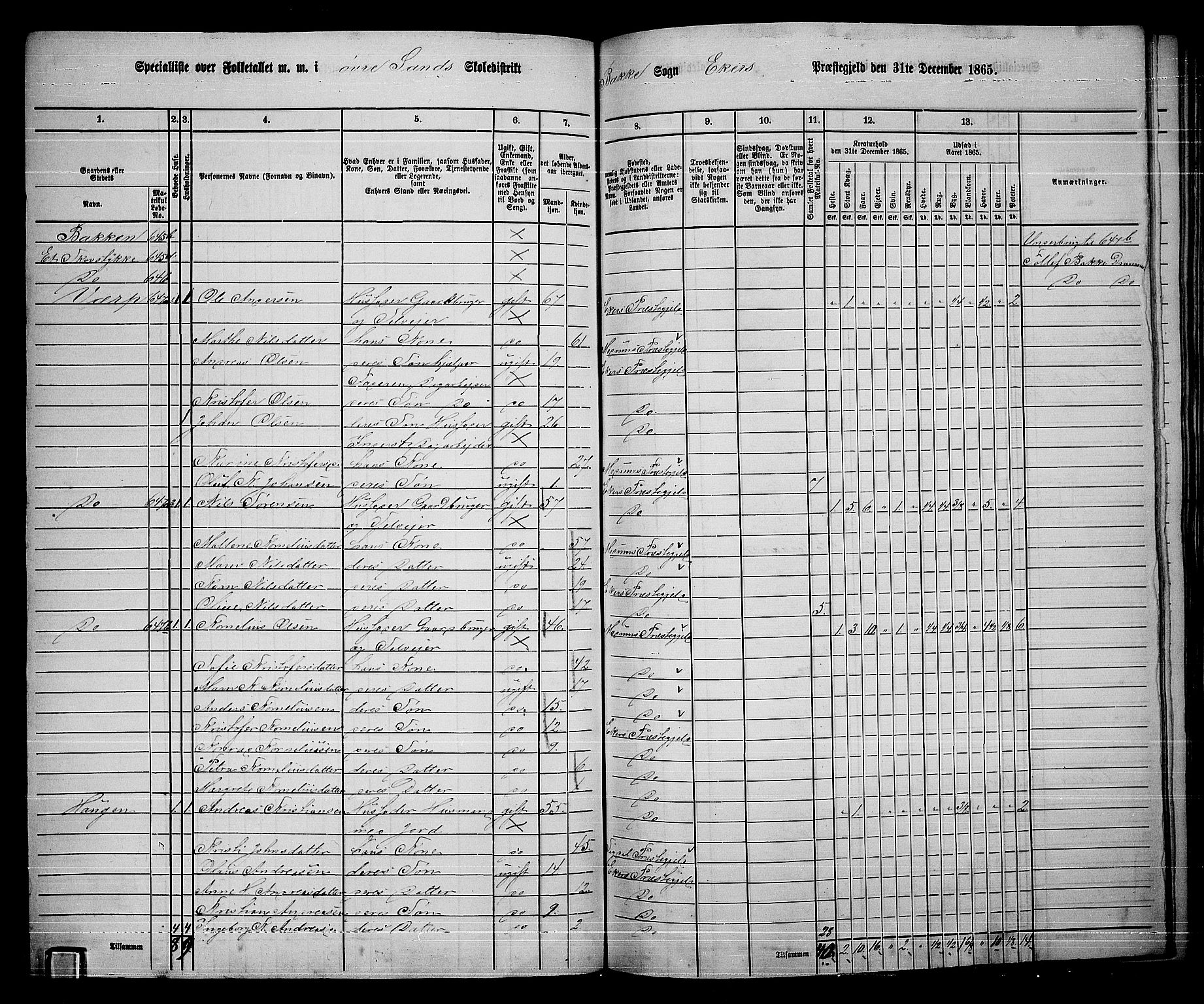 RA, 1865 census for Eiker, 1865, p. 454