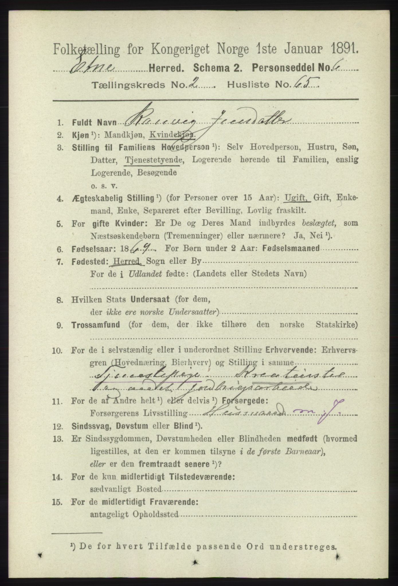 RA, 1891 census for 1211 Etne, 1891, p. 650