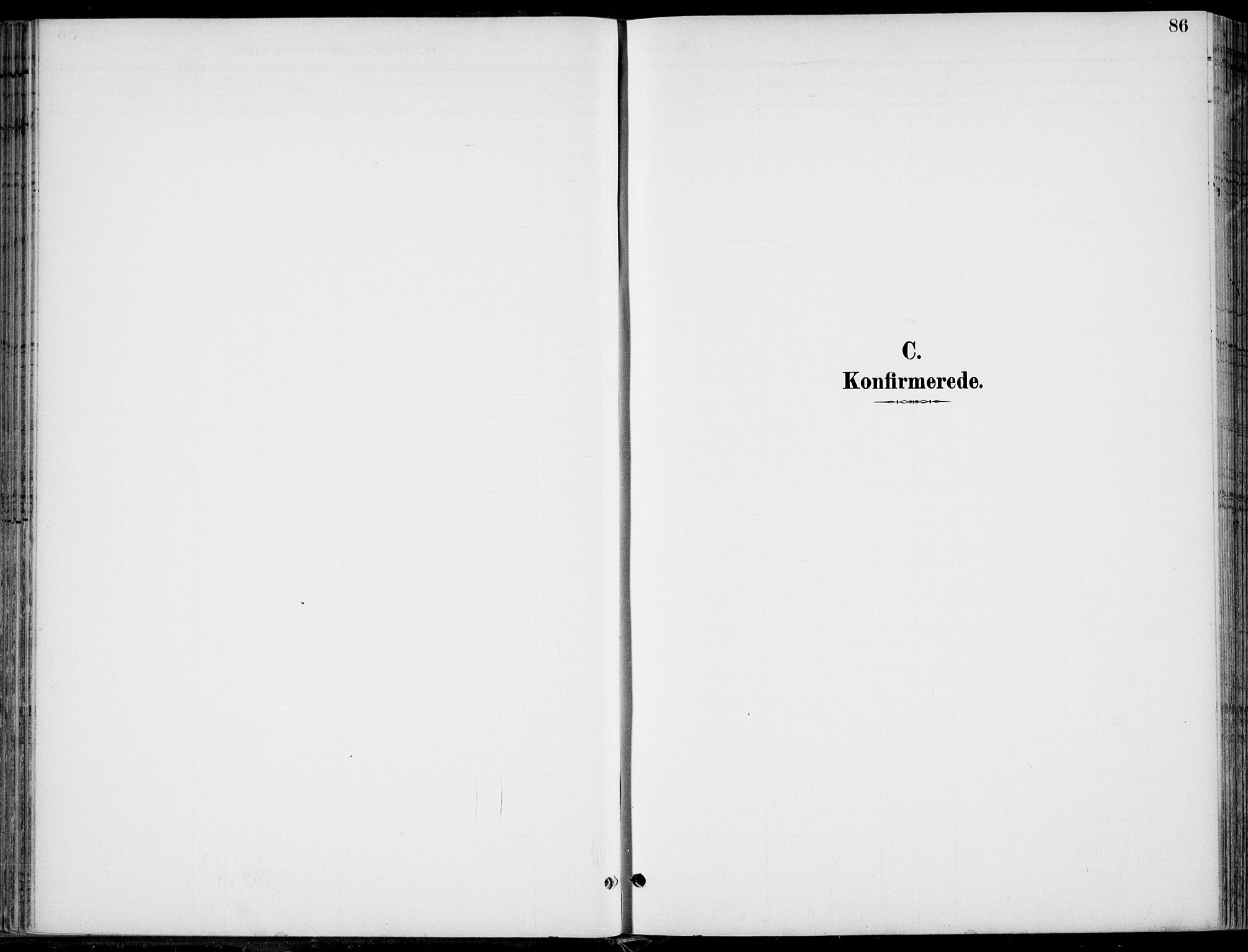 Hole kirkebøker, SAKO/A-228/F/Fa/L0009: Parish register (official) no. I 9, 1892-1907, p. 86