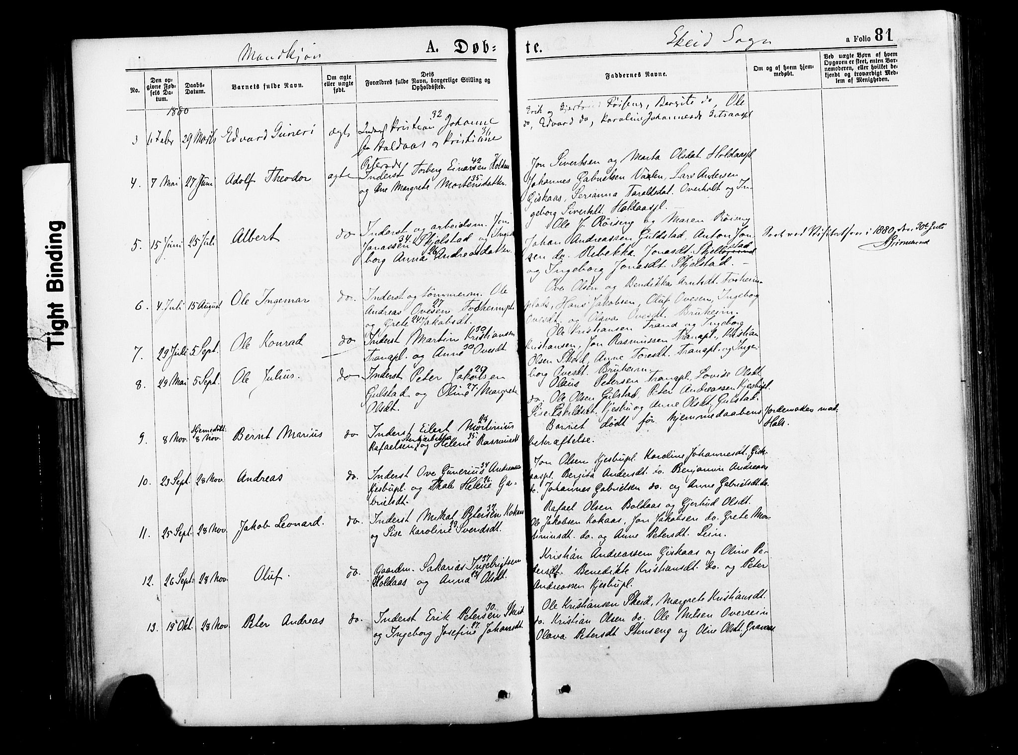 Ministerialprotokoller, klokkerbøker og fødselsregistre - Nord-Trøndelag, SAT/A-1458/735/L0348: Parish register (official) no. 735A09 /2, 1873-1883, p. 81