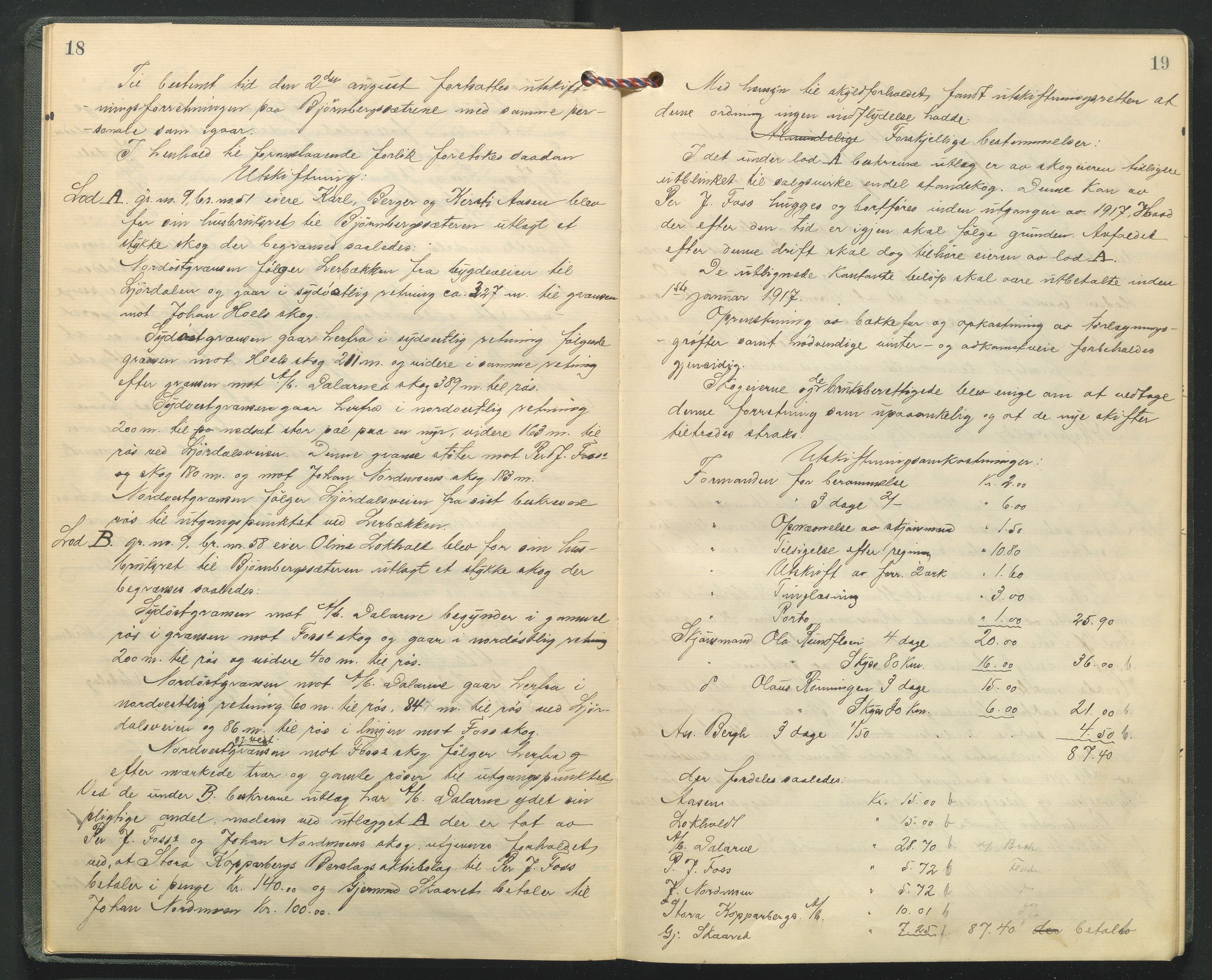 Hedmark og Østerdal jordskifterett, AV/SAH-JORDSKIFTEH-002/G/Ga/L0005/0001: Rettsbøker / Rettsbok - O, 1916-1921, p. 18-19