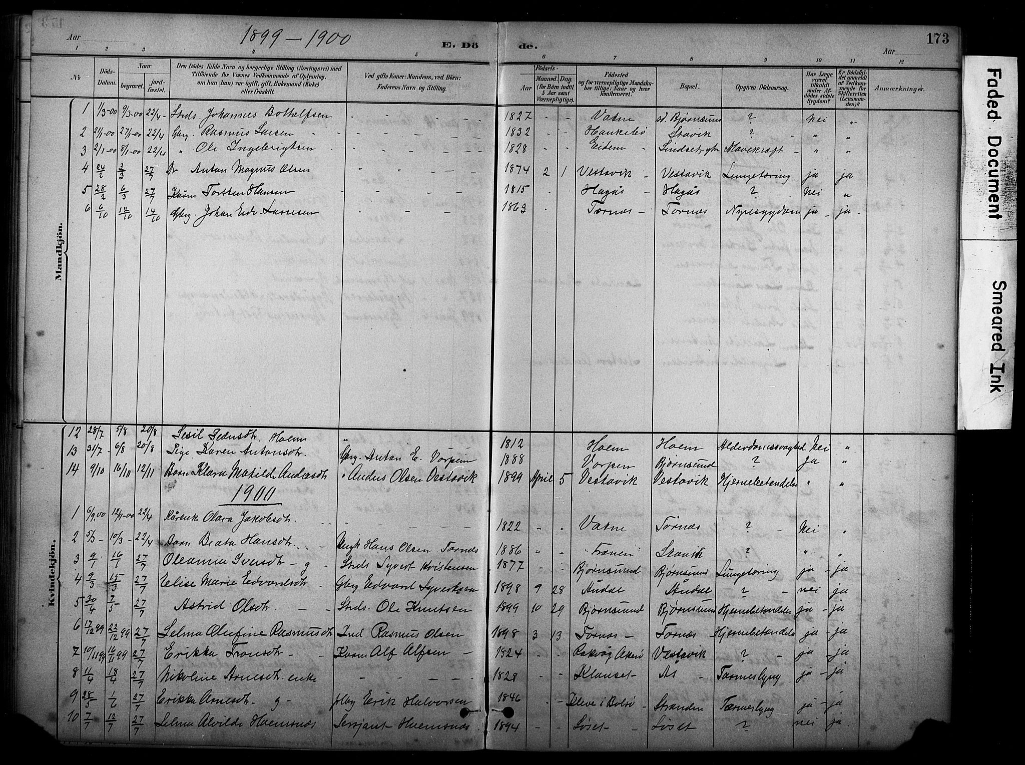 Ministerialprotokoller, klokkerbøker og fødselsregistre - Møre og Romsdal, AV/SAT-A-1454/565/L0755: Parish register (copy) no. 565C04, 1883-1903, p. 173