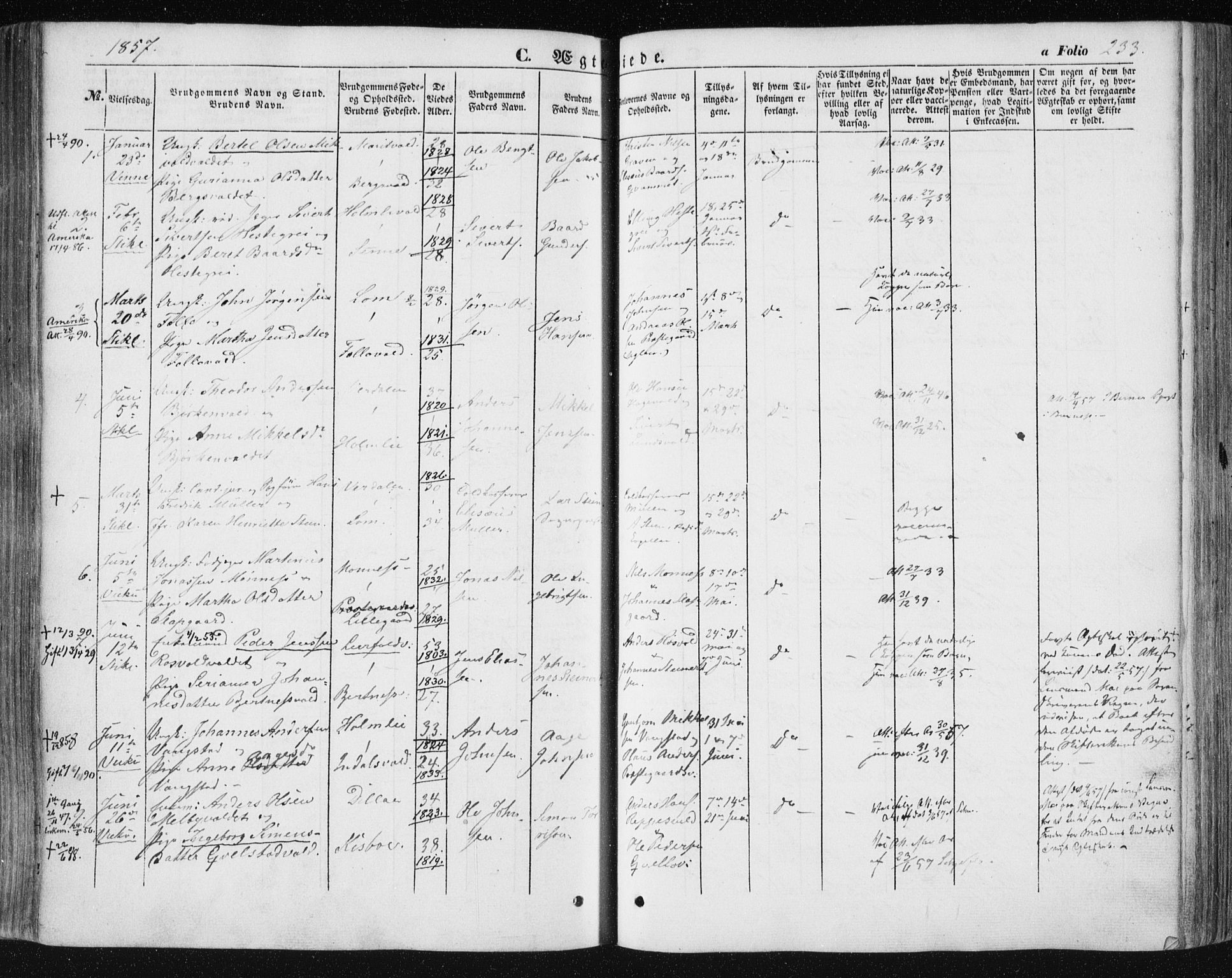 Ministerialprotokoller, klokkerbøker og fødselsregistre - Nord-Trøndelag, AV/SAT-A-1458/723/L0240: Parish register (official) no. 723A09, 1852-1860, p. 233