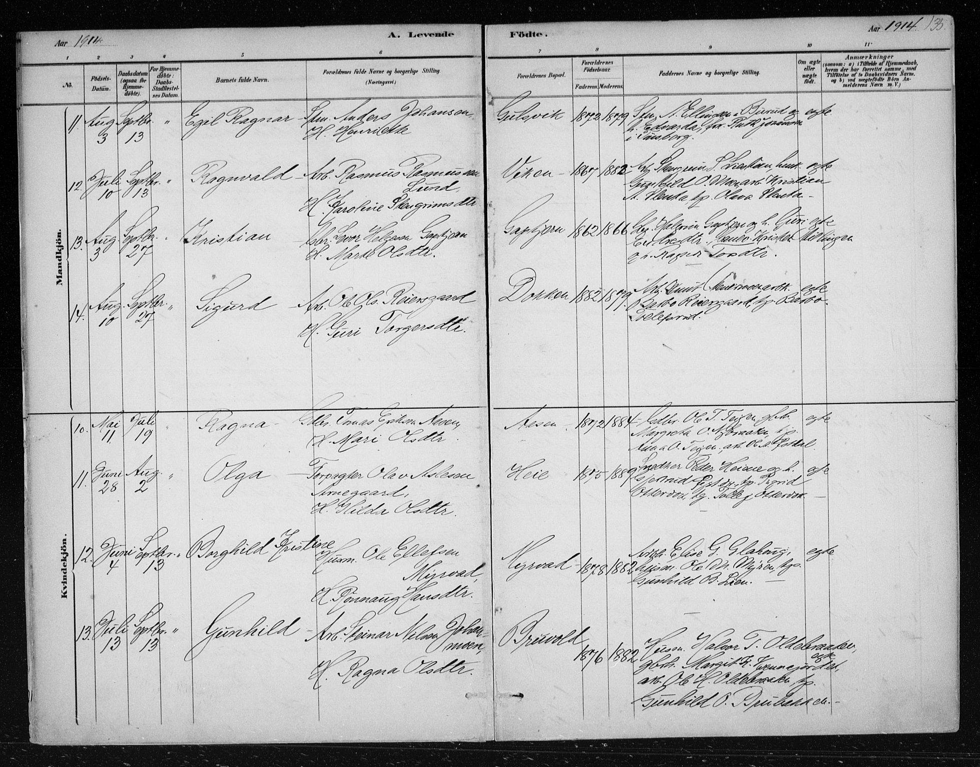 Nes kirkebøker, AV/SAKO-A-236/F/Fa/L0012: Parish register (official) no. 12, 1881-1917, p. 135