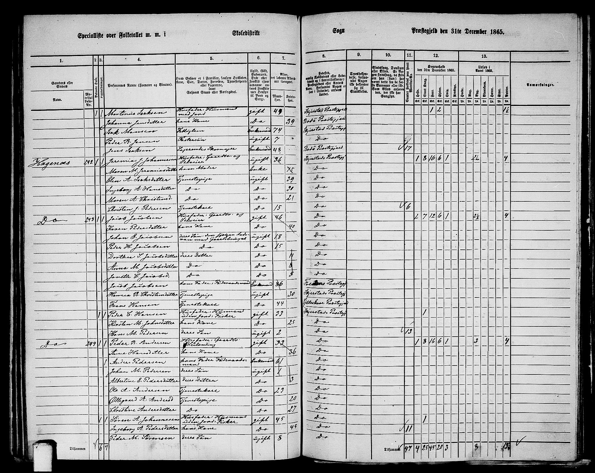 RA, 1865 census for Skjerstad, 1865, p. 119