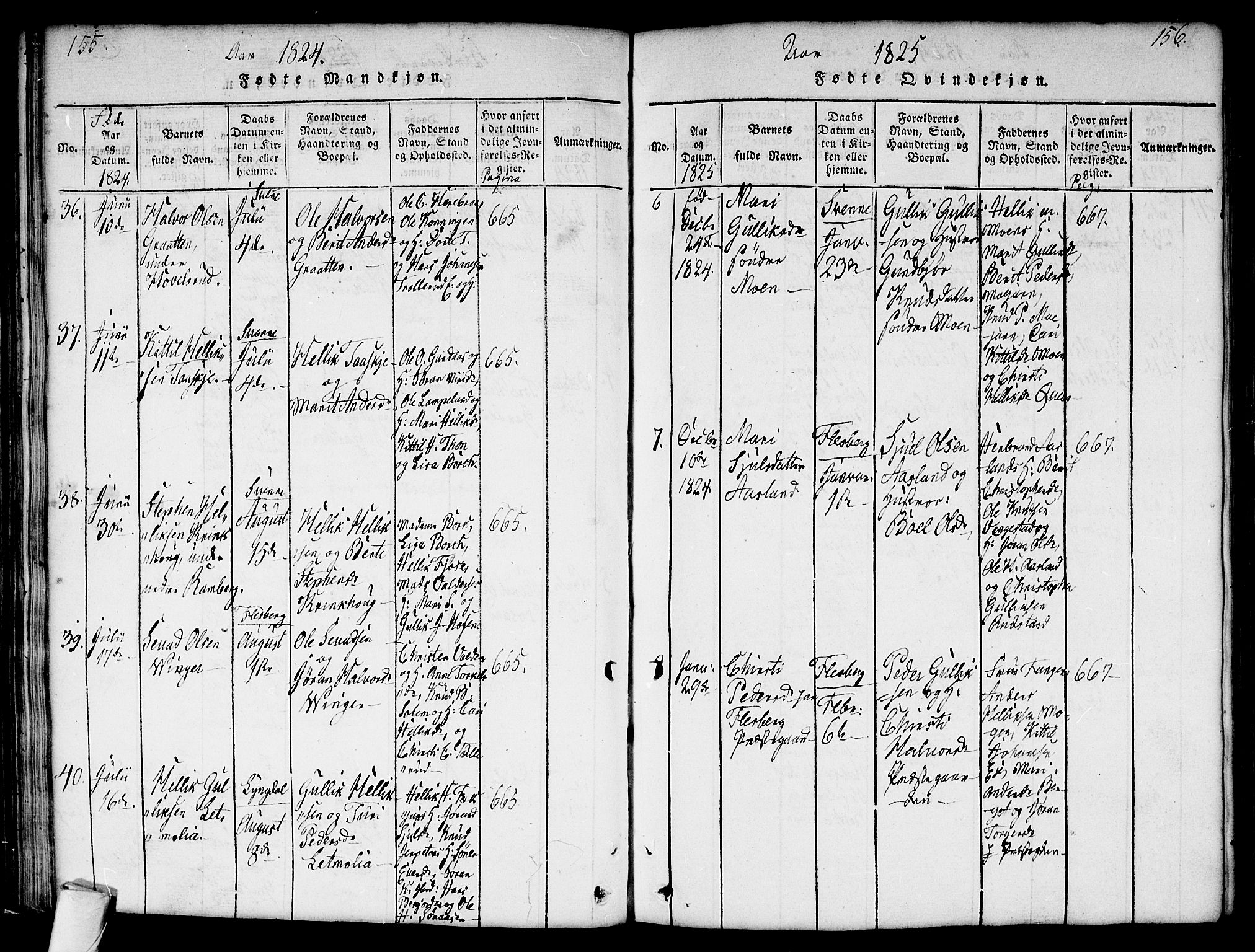 Flesberg kirkebøker, AV/SAKO-A-18/G/Ga/L0001: Parish register (copy) no. I 1, 1816-1834, p. 155-156