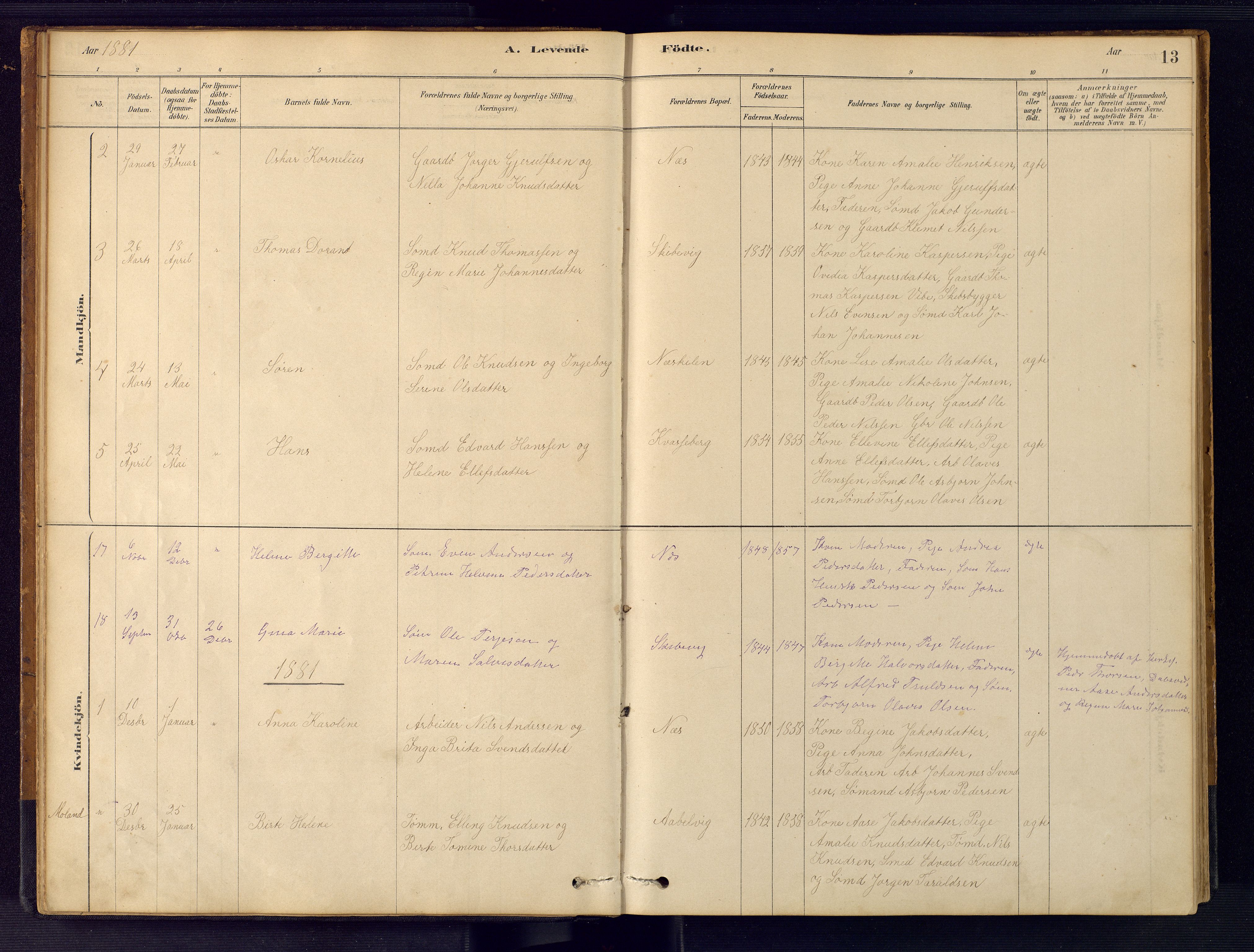 Austre Moland sokneprestkontor, AV/SAK-1111-0001/F/Fb/Fbb/L0001: Parish register (copy) no. B 1, 1878-1904, p. 13