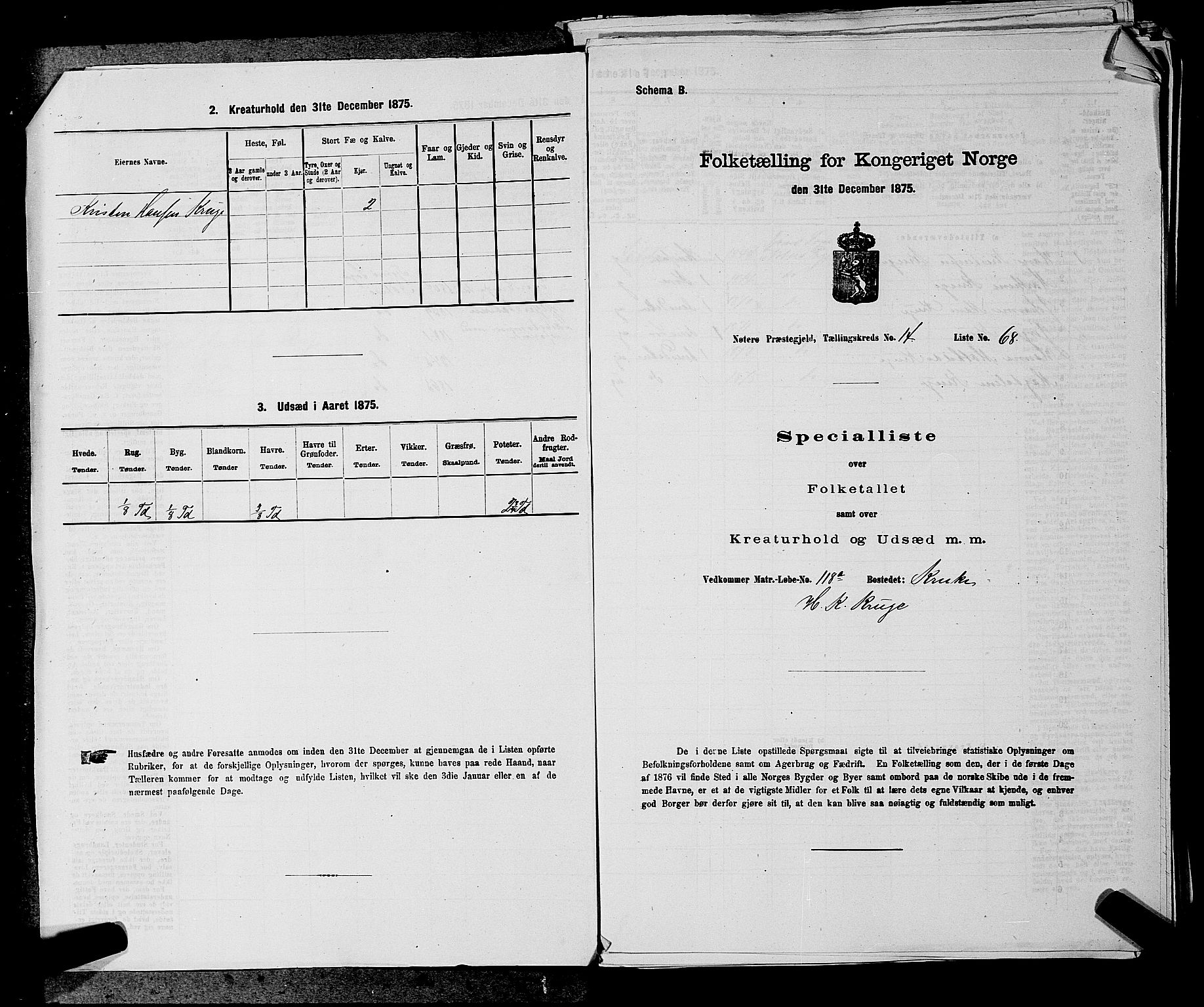 SAKO, 1875 census for 0722P Nøtterøy, 1875, p. 3034