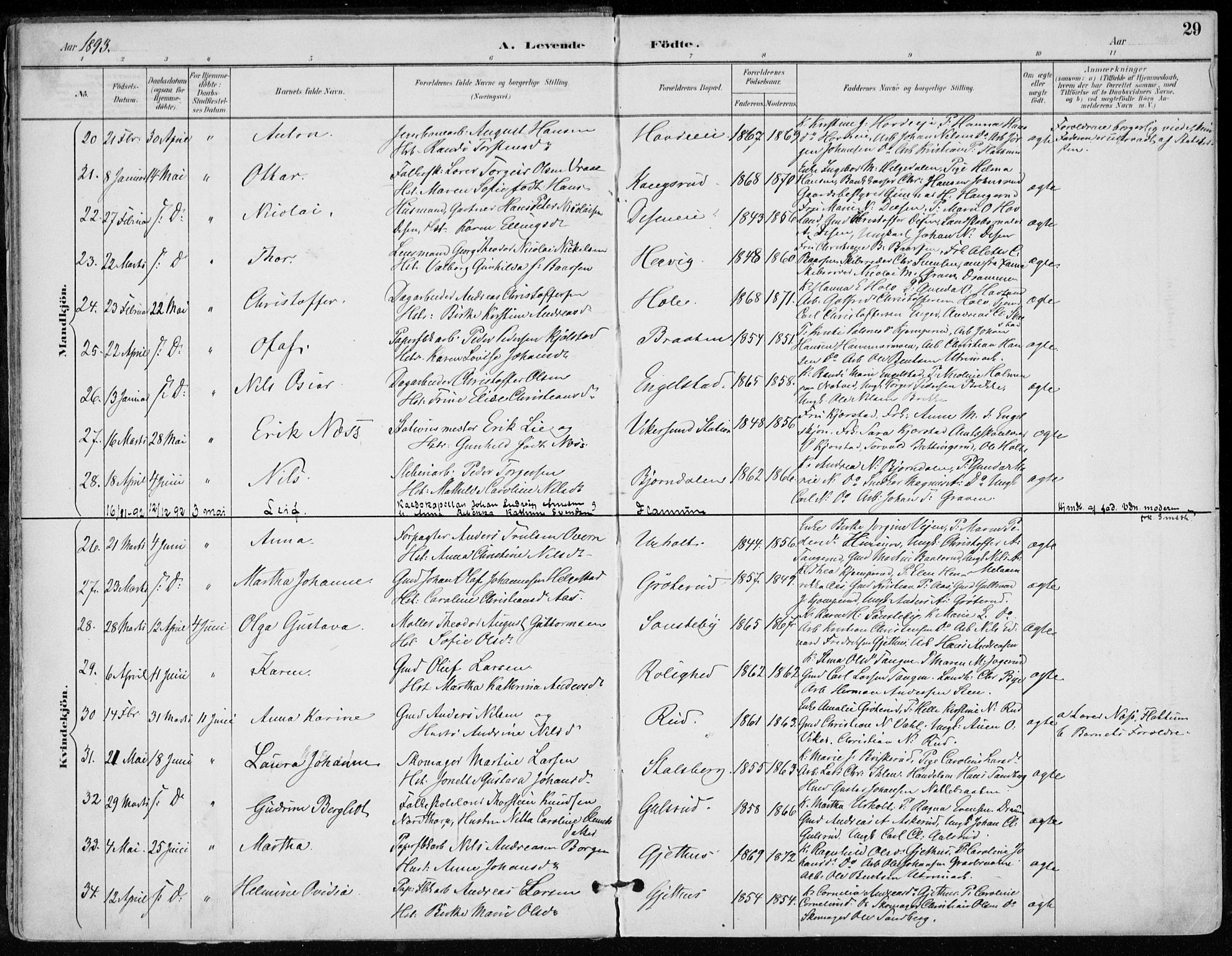 Modum kirkebøker, AV/SAKO-A-234/F/Fa/L0012: Parish register (official) no. 12, 1890-1898, p. 29