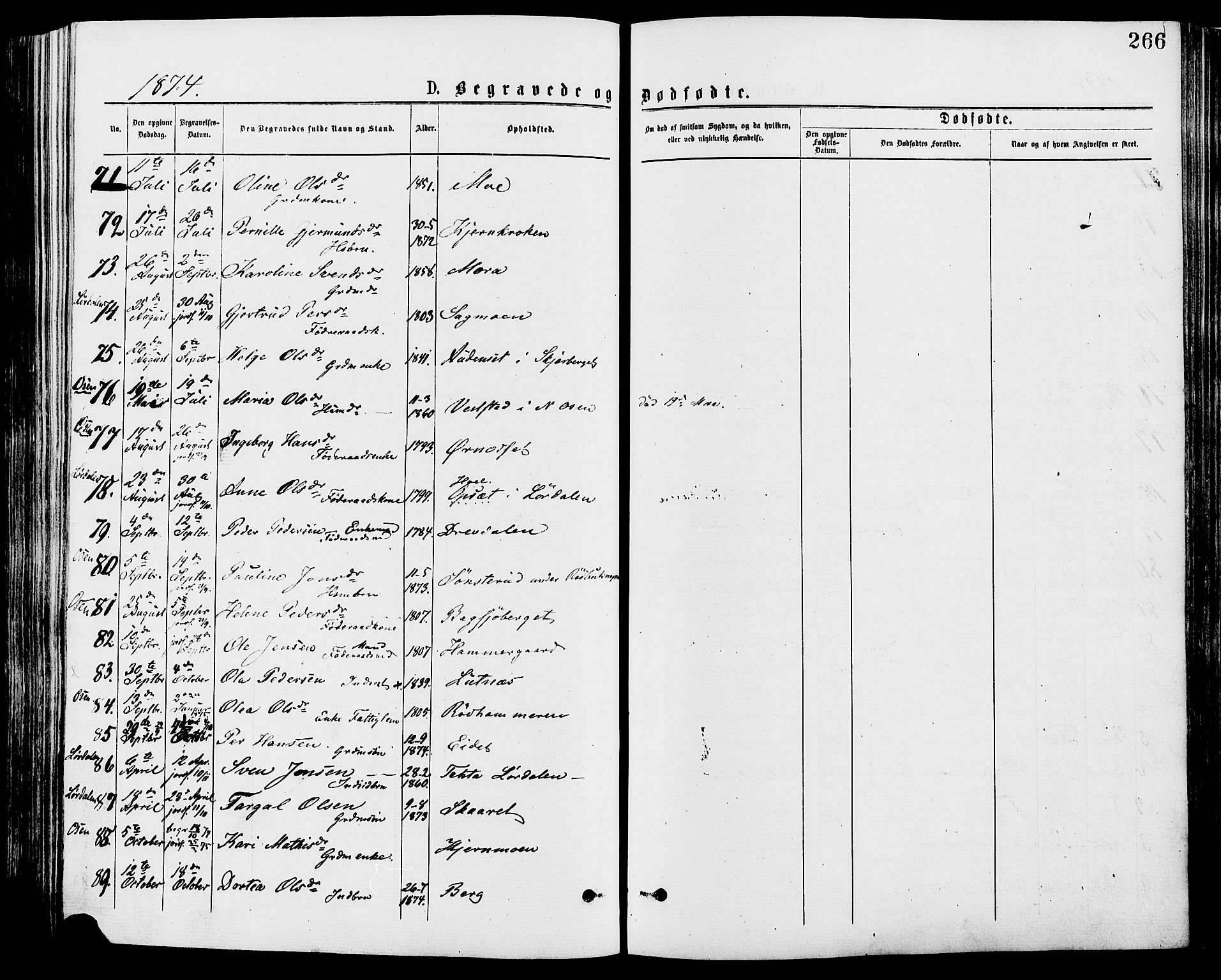 Trysil prestekontor, AV/SAH-PREST-046/H/Ha/Haa/L0007: Parish register (official) no. 7, 1874-1880, p. 266