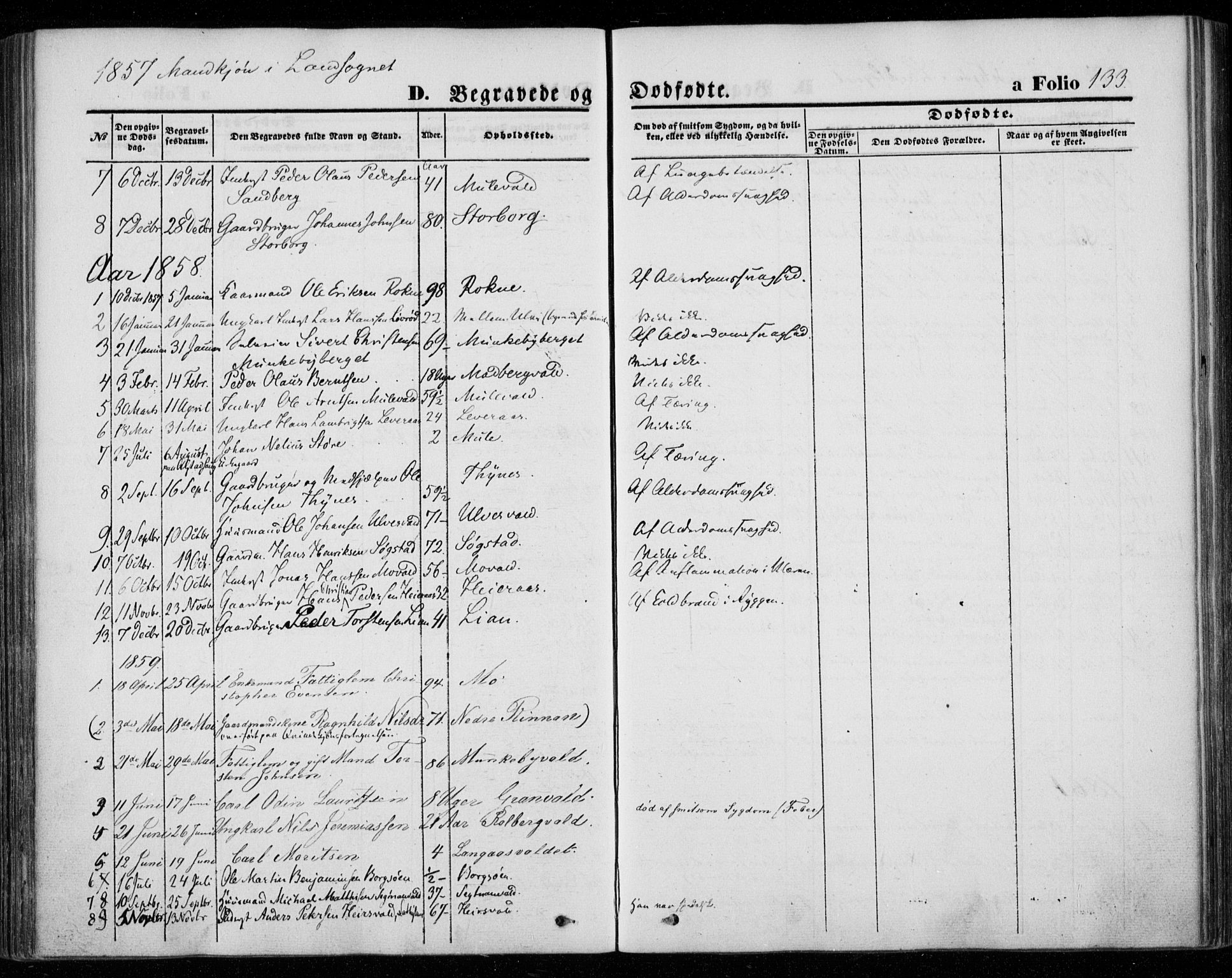 Ministerialprotokoller, klokkerbøker og fødselsregistre - Nord-Trøndelag, SAT/A-1458/720/L0184: Parish register (official) no. 720A02 /2, 1855-1863, p. 133