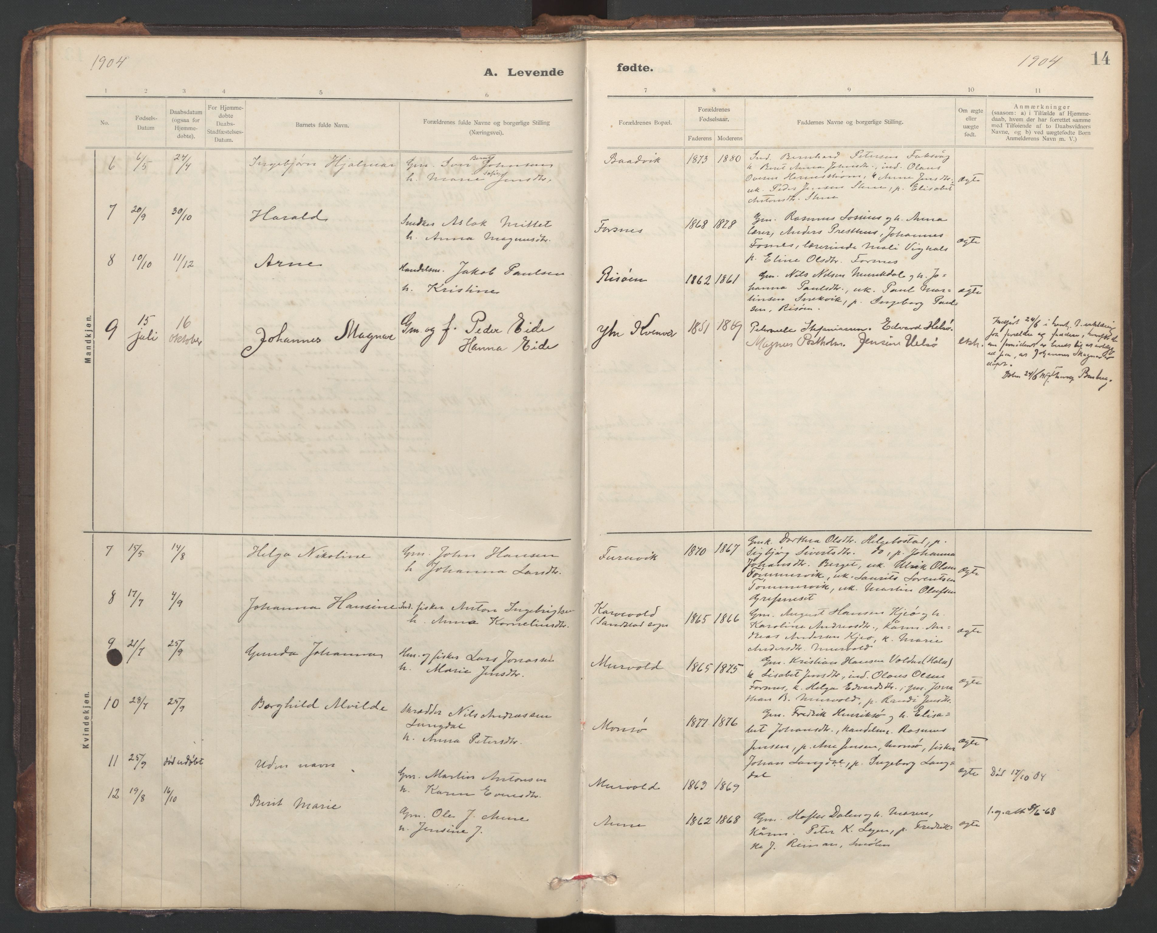Ministerialprotokoller, klokkerbøker og fødselsregistre - Sør-Trøndelag, SAT/A-1456/635/L0552: Parish register (official) no. 635A02, 1899-1919, p. 14