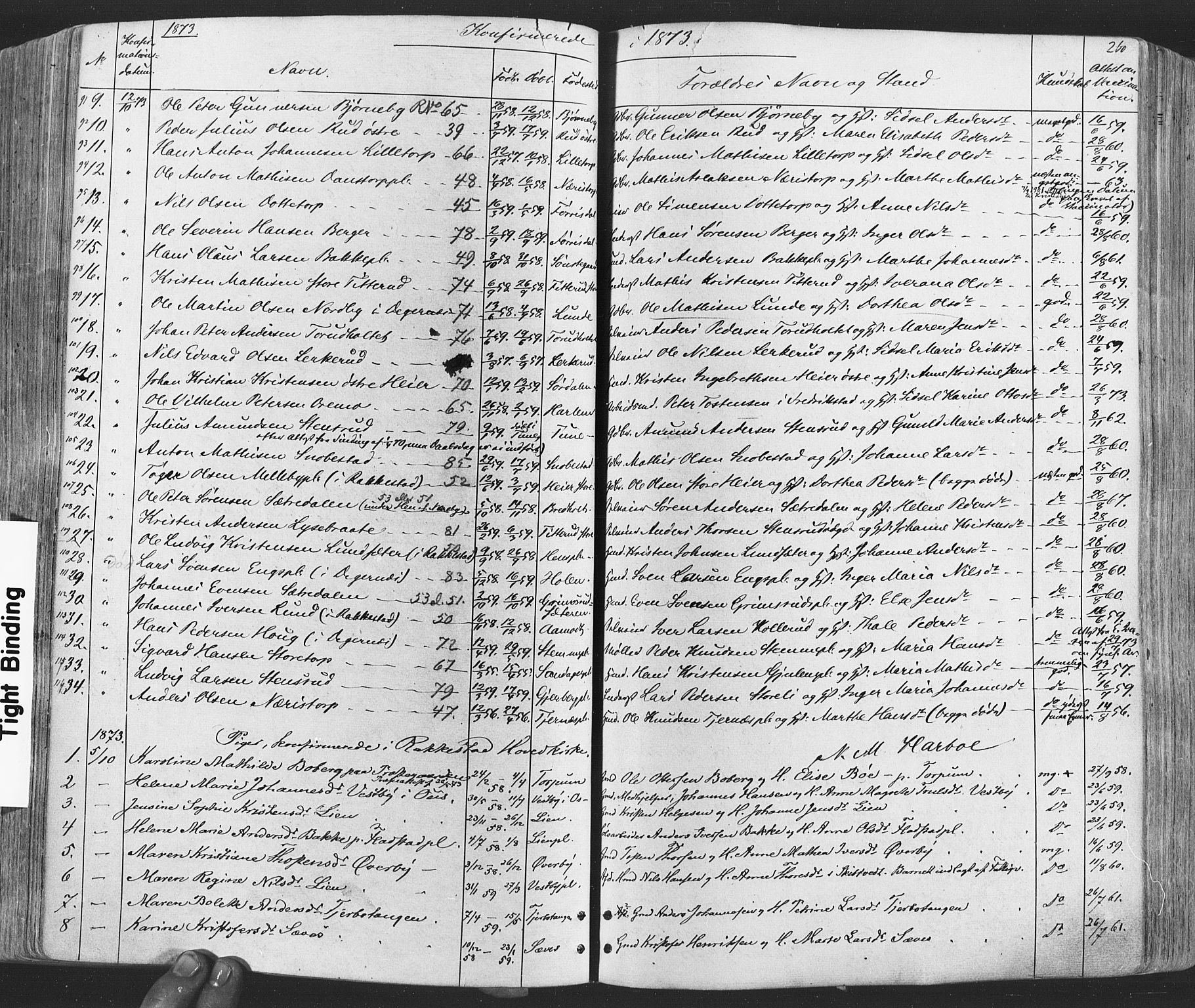 Rakkestad prestekontor Kirkebøker, AV/SAO-A-2008/F/Fa/L0011: Parish register (official) no. I 11, 1862-1877, p. 260