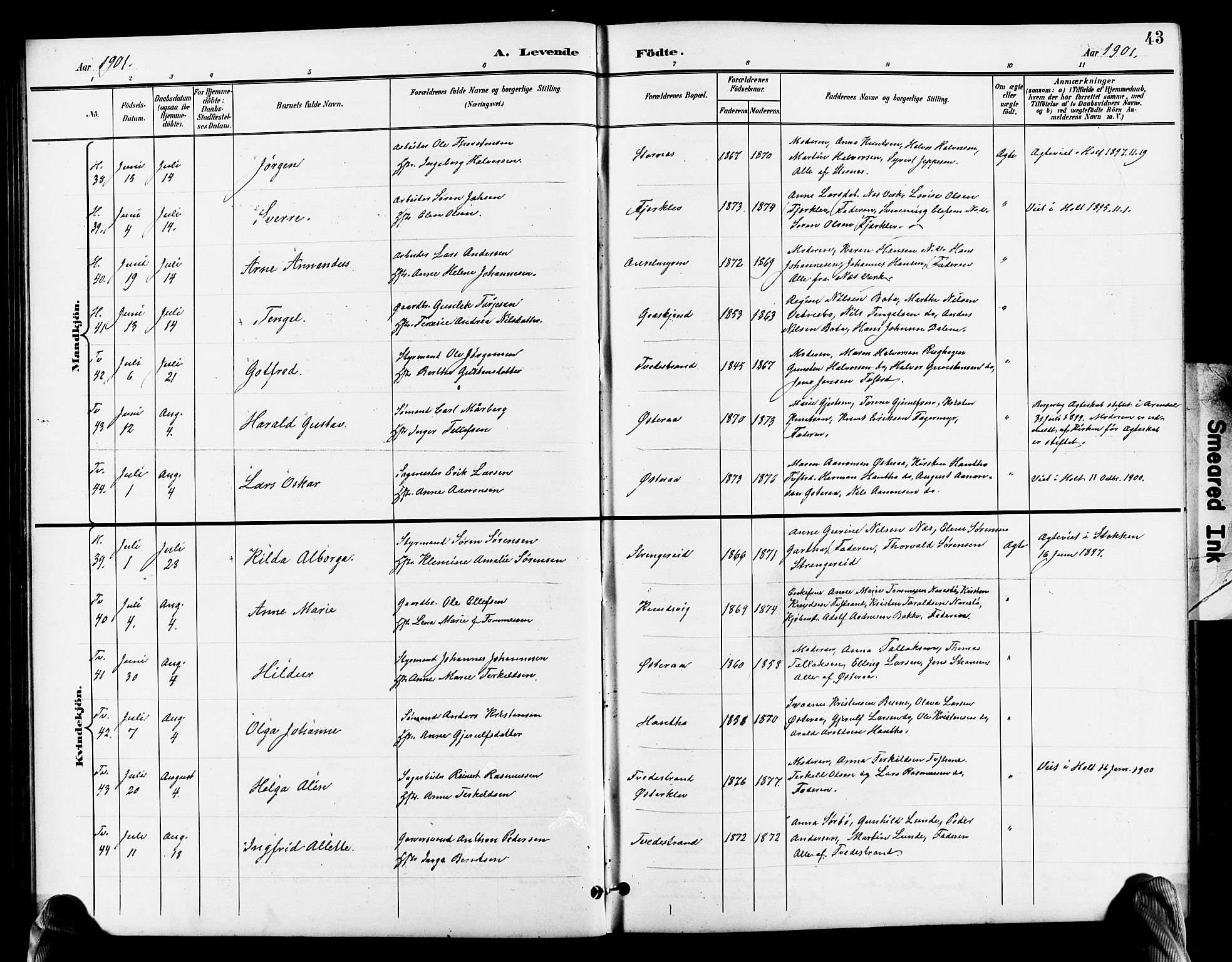 Holt sokneprestkontor, AV/SAK-1111-0021/F/Fb/L0011: Parish register (copy) no. B 11, 1897-1921, p. 43