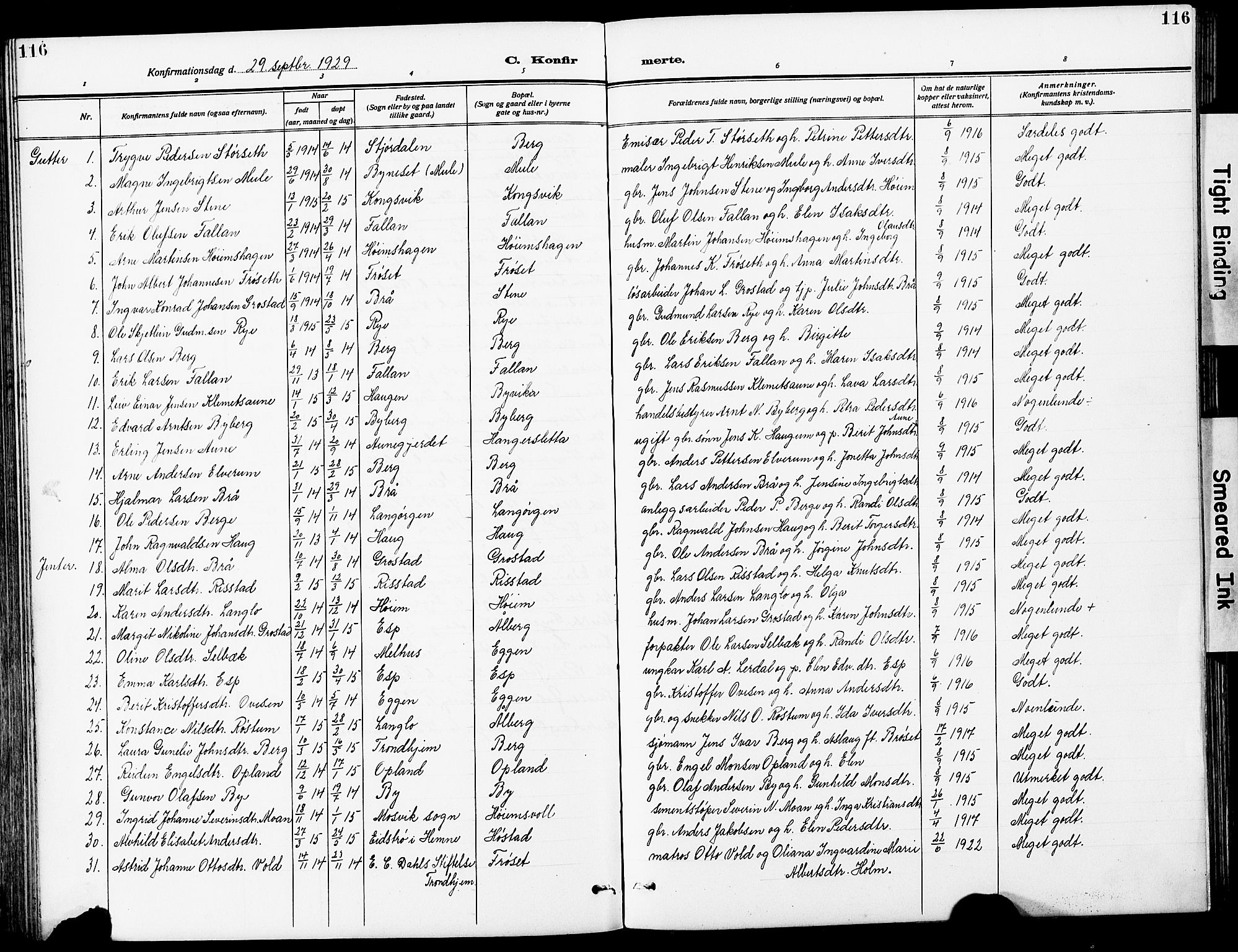 Ministerialprotokoller, klokkerbøker og fødselsregistre - Sør-Trøndelag, AV/SAT-A-1456/612/L0388: Parish register (copy) no. 612C04, 1909-1929, p. 116