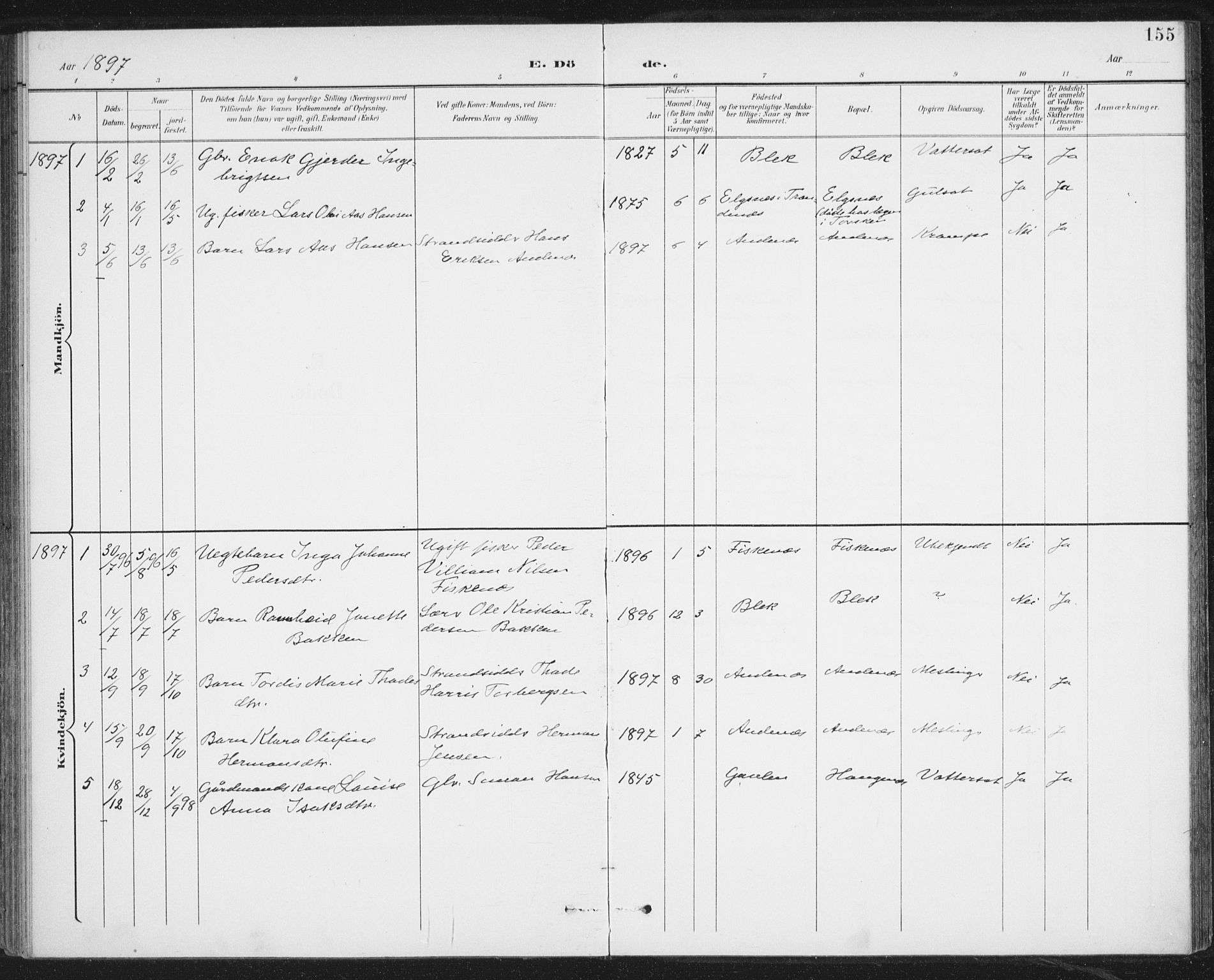 Ministerialprotokoller, klokkerbøker og fødselsregistre - Nordland, SAT/A-1459/899/L1437: Parish register (official) no. 899A05, 1897-1908, p. 155