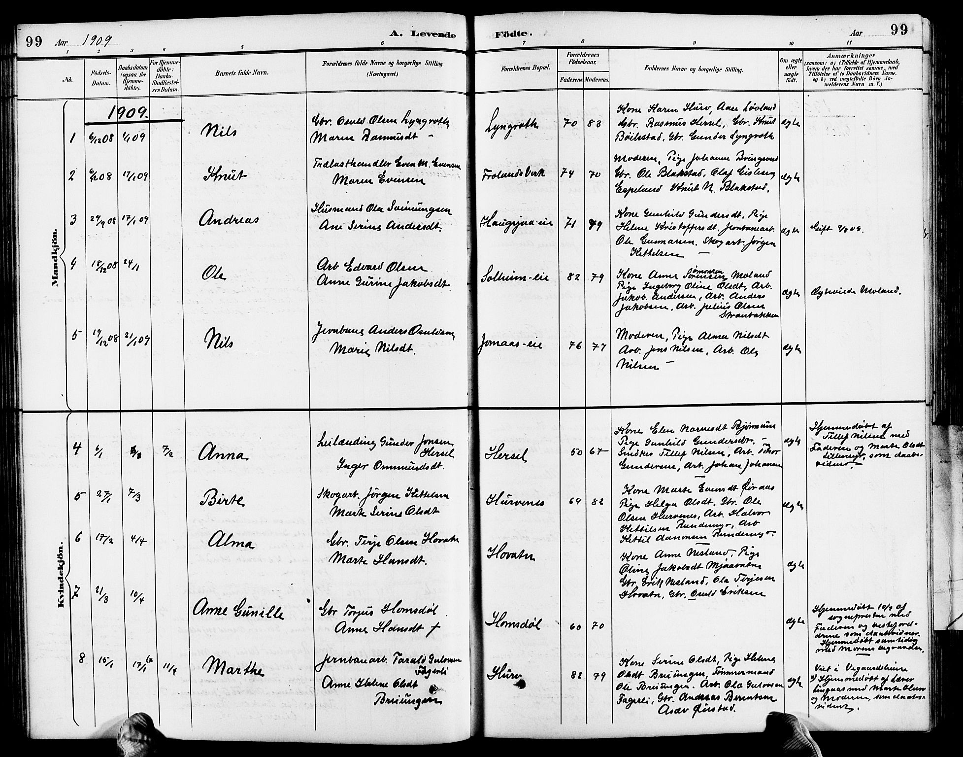 Froland sokneprestkontor, SAK/1111-0013/F/Fb/L0010: Parish register (copy) no. B 10, 1893-1920, p. 99