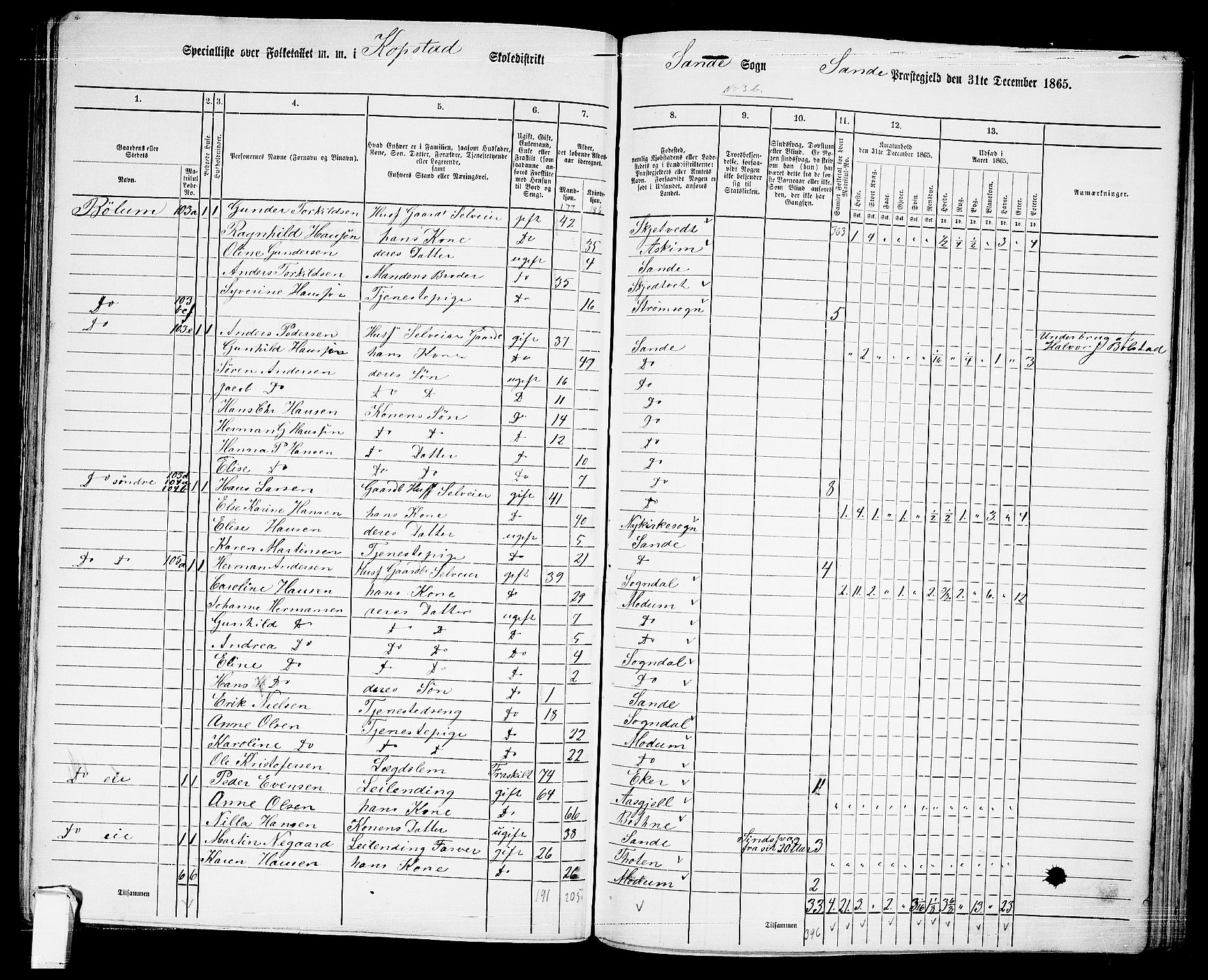 RA, 1865 census for Sande, 1865, p. 72