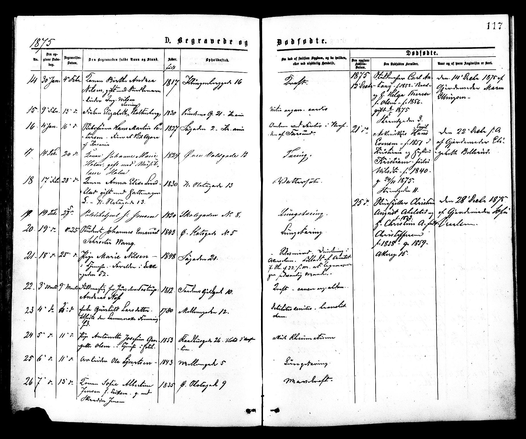 Johannes prestekontor Kirkebøker, SAO/A-10852/F/Fa/L0002: Parish register (official) no. 2, 1875-1882, p. 117