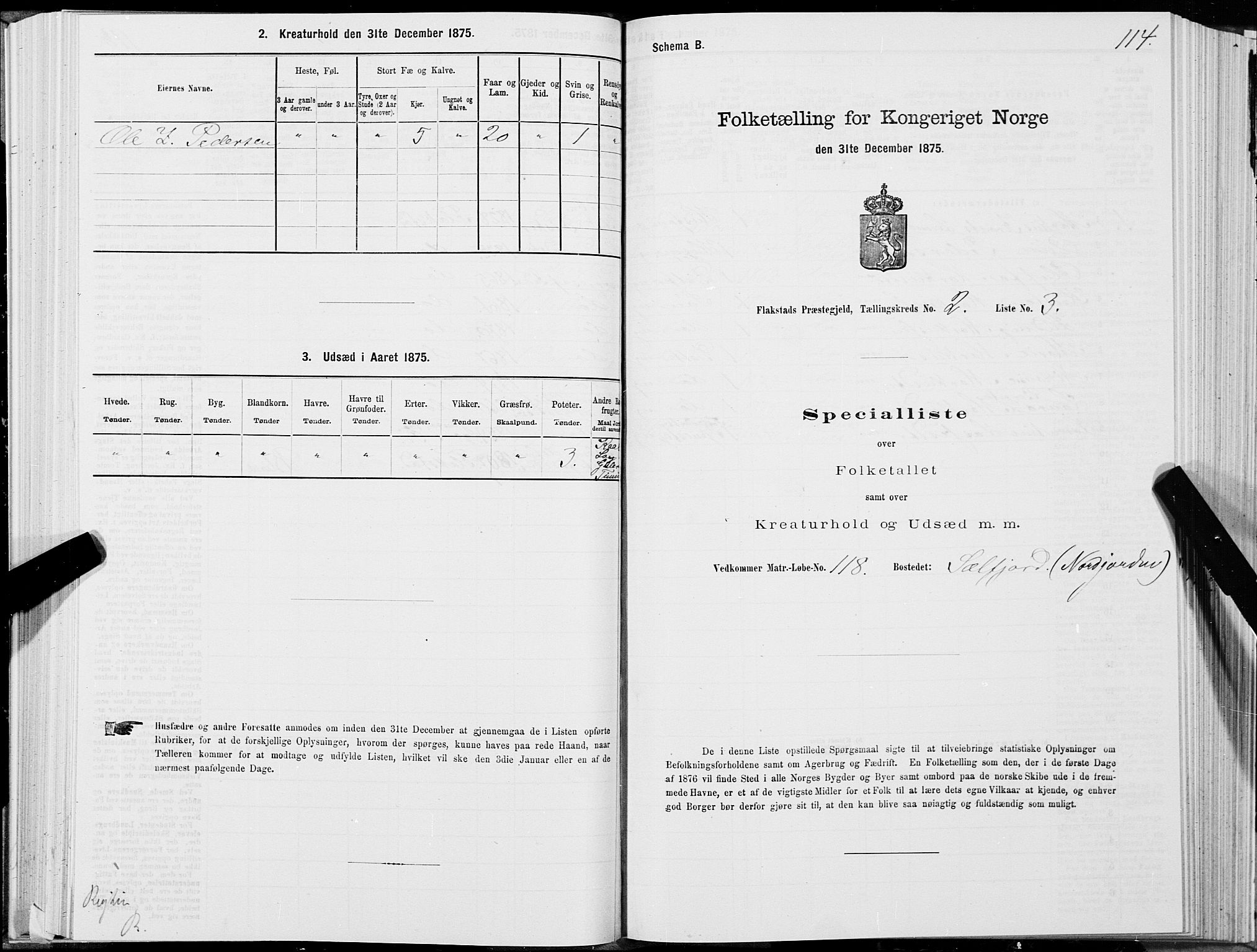 SAT, 1875 census for 1859P Flakstad, 1875, p. 1114