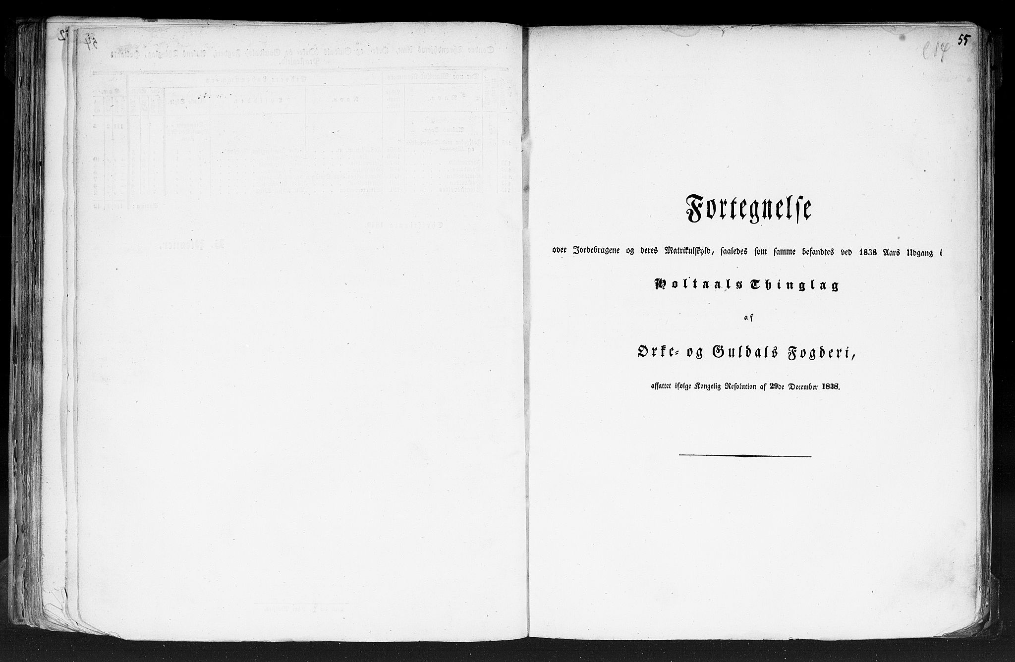 Rygh, RA/PA-0034/F/Fb/L0014: Matrikkelen for 1838 - Søndre Trondhjems amt (Sør-Trøndelag fylke), 1838, p. 55a