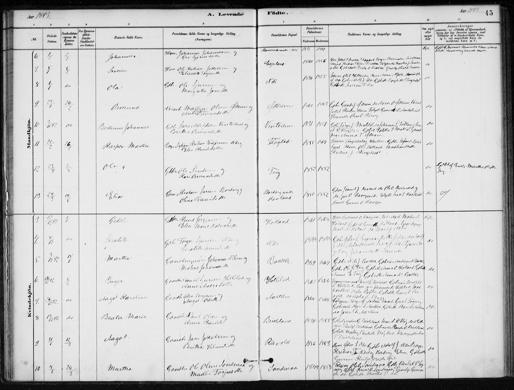 Sand sokneprestkontor, AV/SAST-A-101848/01/III/L0006: Parish register (official) no. A 6, 1880-1898, p. 45