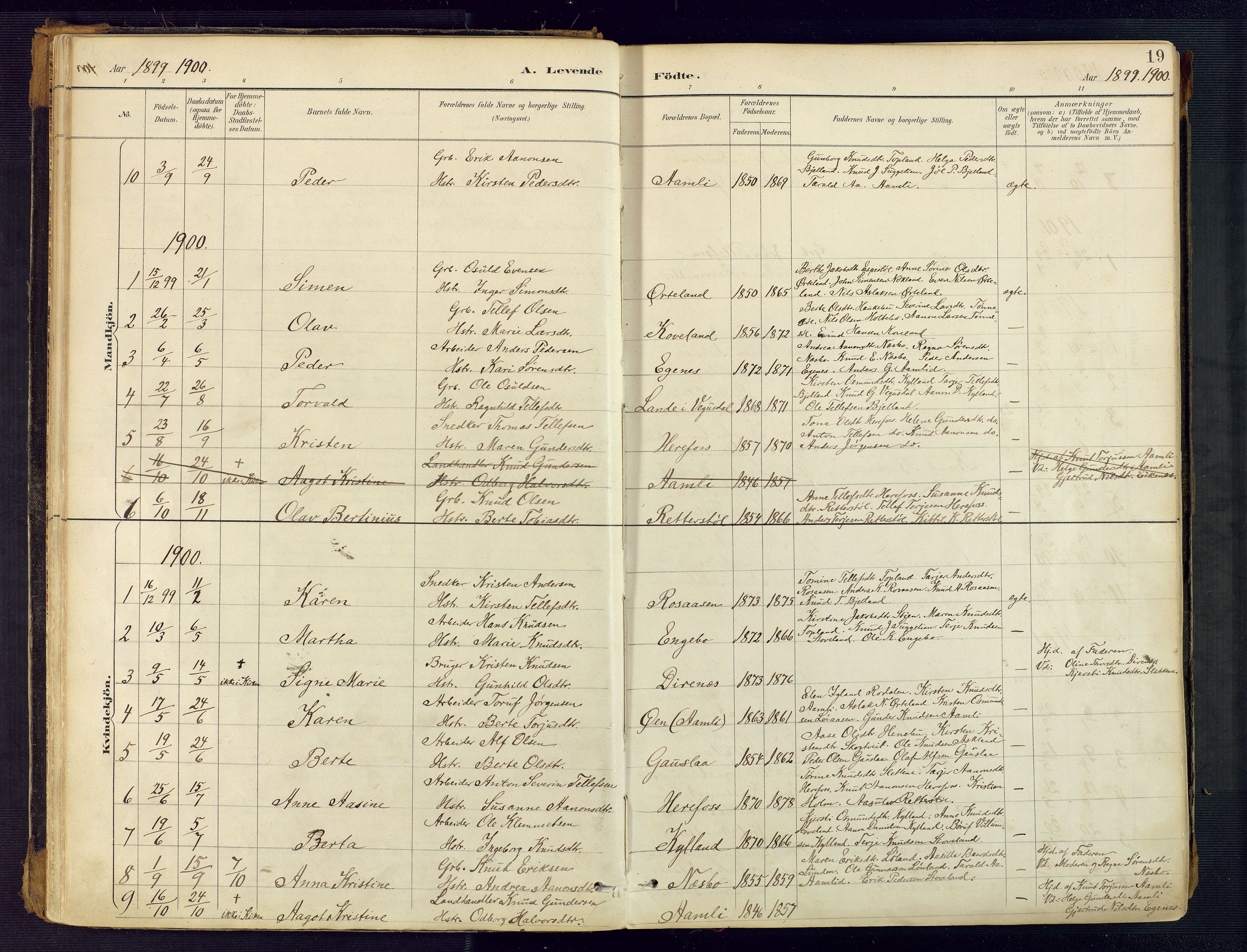 Herefoss sokneprestkontor, SAK/1111-0019/F/Fa/Faa/L0003: Parish register (official) no. A 3, 1887-1930, p. 19