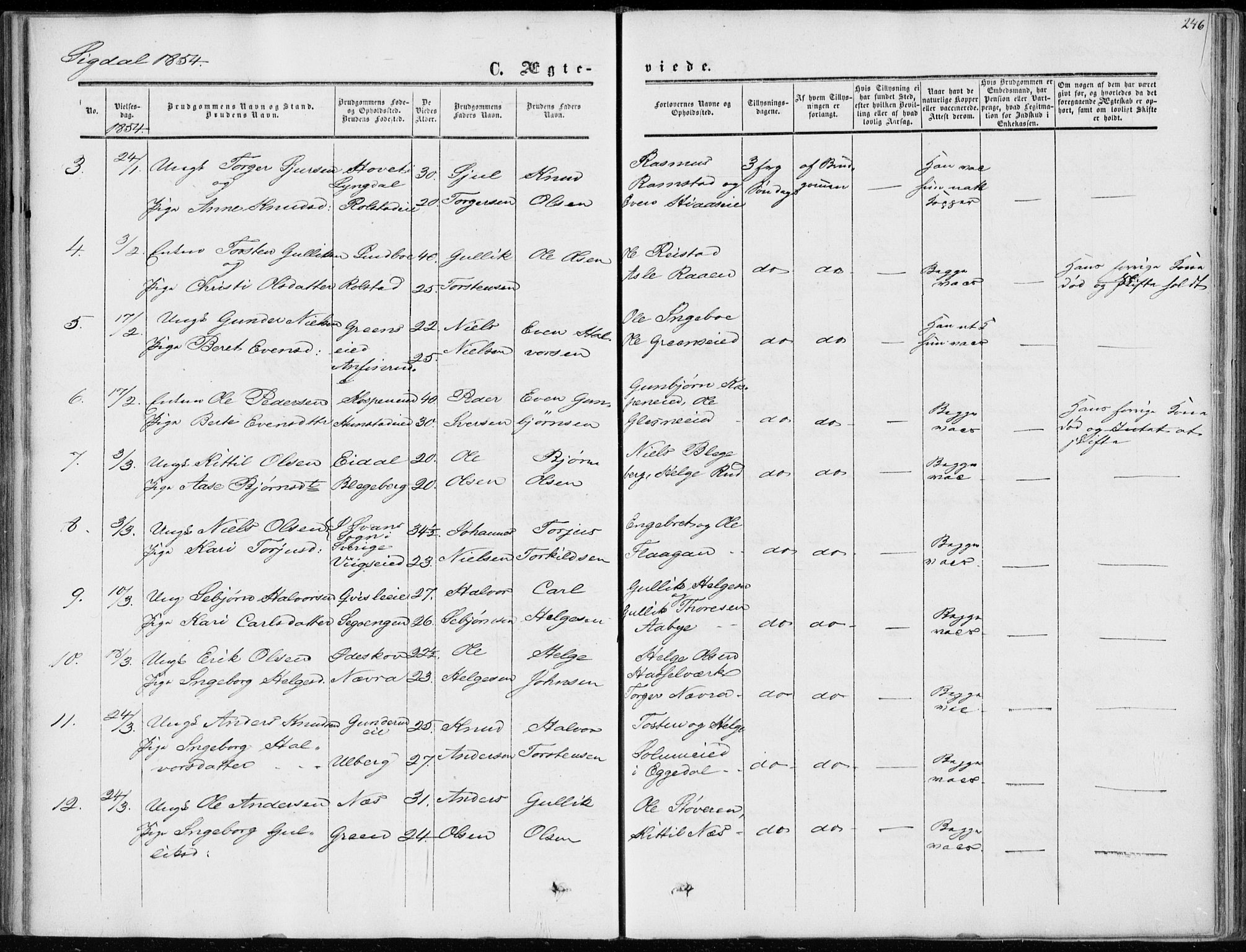 Sigdal kirkebøker, AV/SAKO-A-245/F/Fa/L0008: Parish register (official) no. I 8, 1850-1859, p. 246