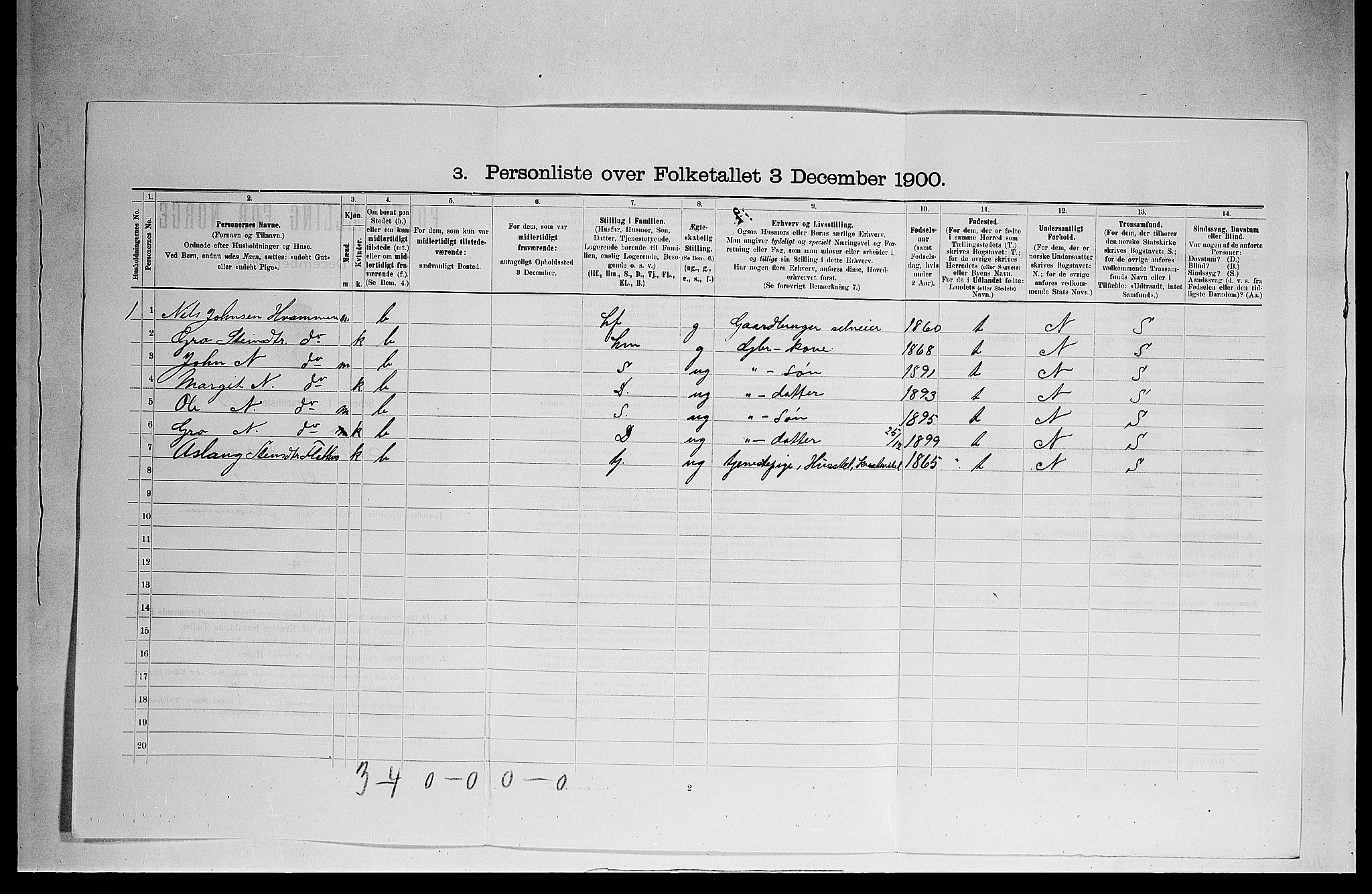 SAKO, 1900 census for Tinn, 1900, p. 545