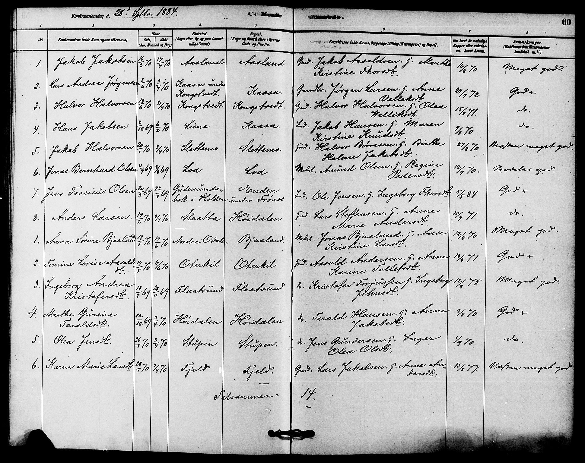 Solum kirkebøker, AV/SAKO-A-306/F/Fc/L0001: Parish register (official) no. III 1, 1877-1891, p. 60