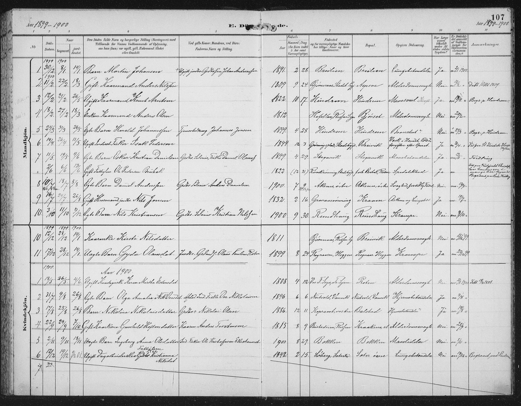 Ministerialprotokoller, klokkerbøker og fødselsregistre - Nord-Trøndelag, SAT/A-1458/702/L0024: Parish register (official) no. 702A02, 1898-1914, p. 107