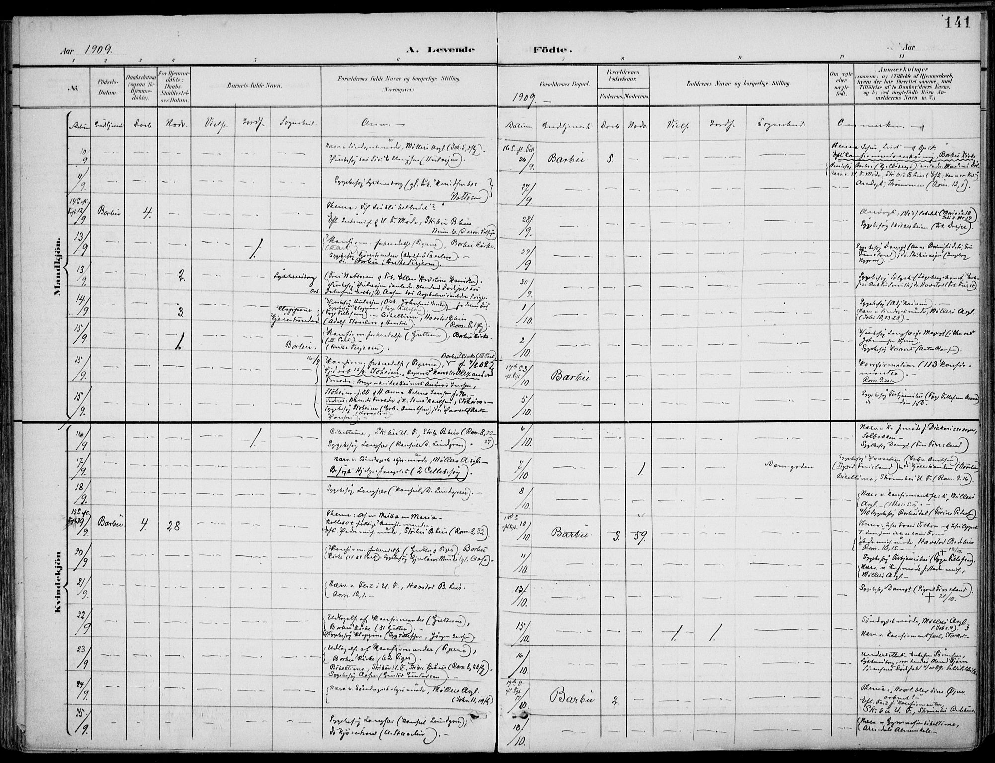 Barbu sokneprestkontor, AV/SAK-1111-0003/F/Fa/L0005: Parish register (official) no. A 5, 1899-1909, p. 141