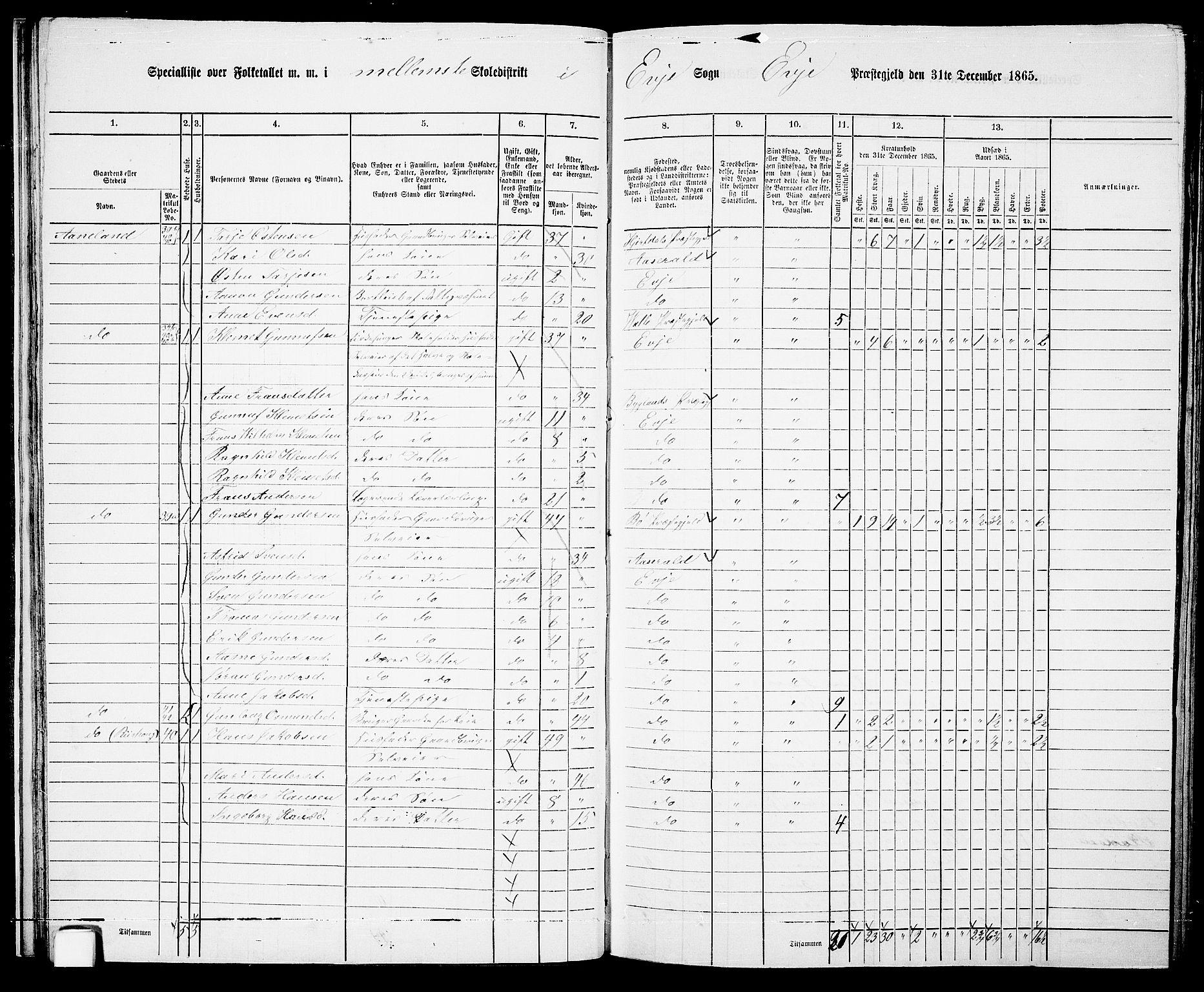 RA, 1865 census for Evje, 1865, p. 25