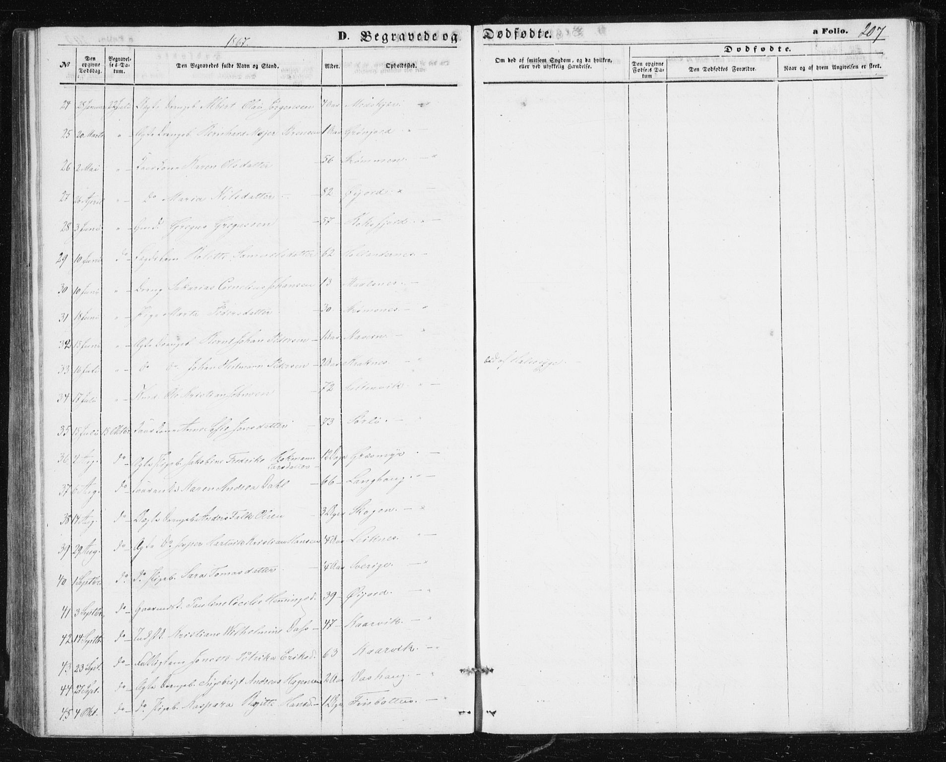 Lenvik sokneprestembete, SATØ/S-1310/H/Ha/Hab/L0004klokker: Parish register (copy) no. 4, 1859-1869, p. 207