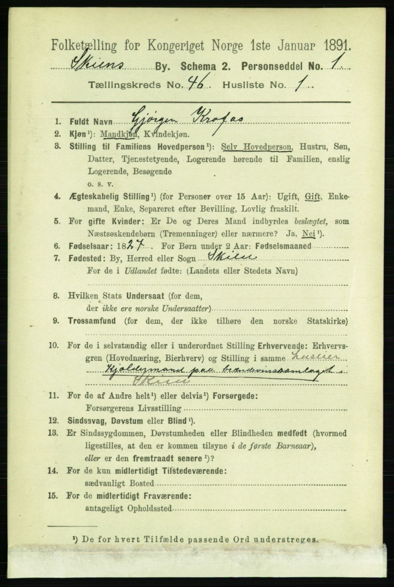 RA, 1891 census for 0806 Skien, 1891, p. 9137