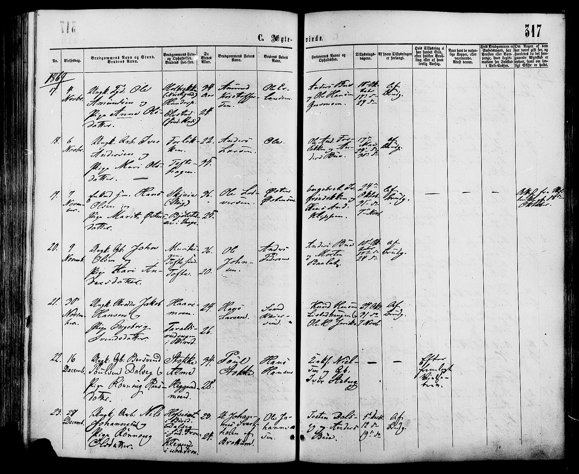 Sør-Fron prestekontor, SAH/PREST-010/H/Ha/Haa/L0002: Parish register (official) no. 2, 1864-1880, p. 317