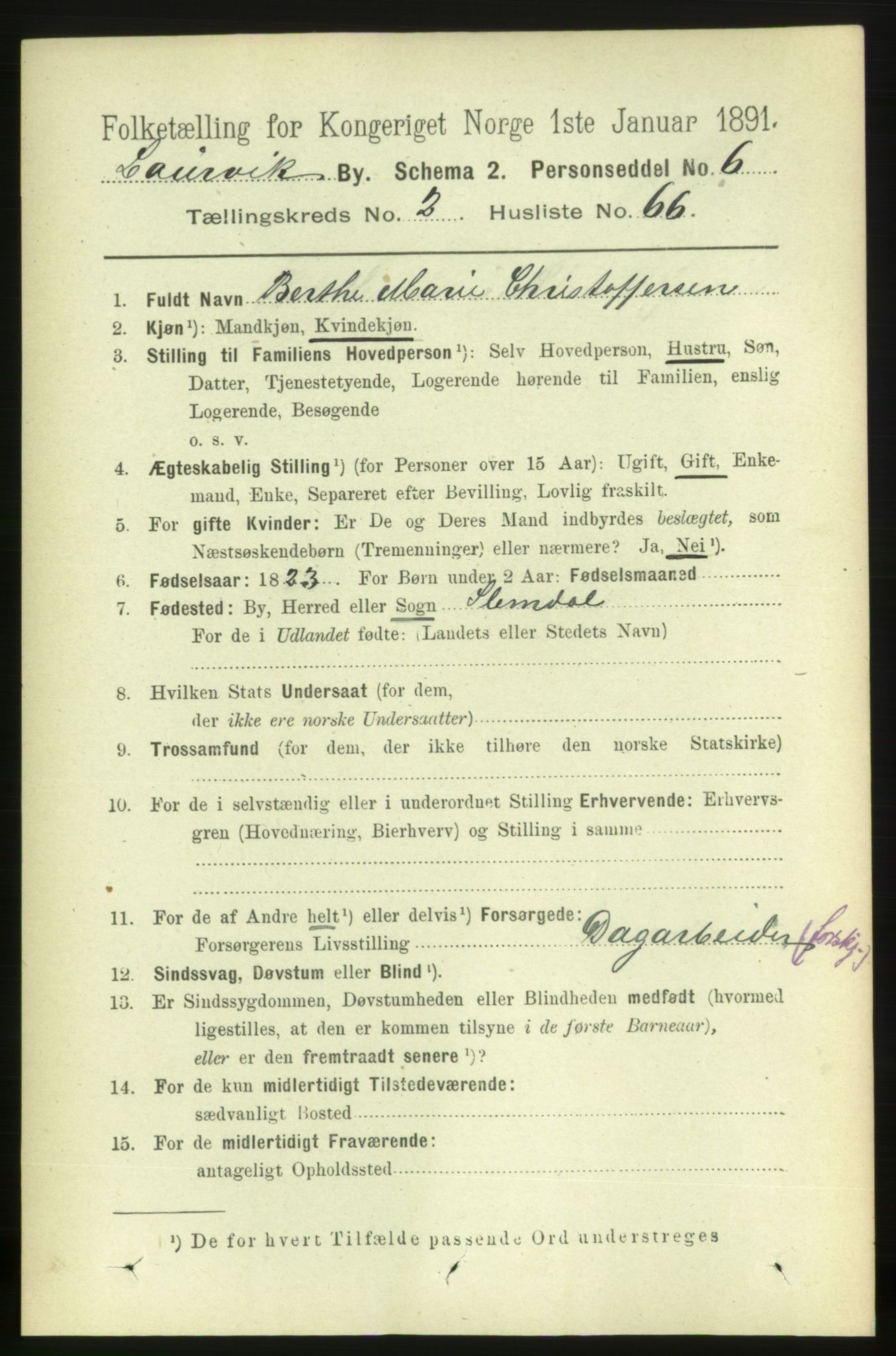 RA, 1891 census for 0707 Larvik, 1891, p. 4057