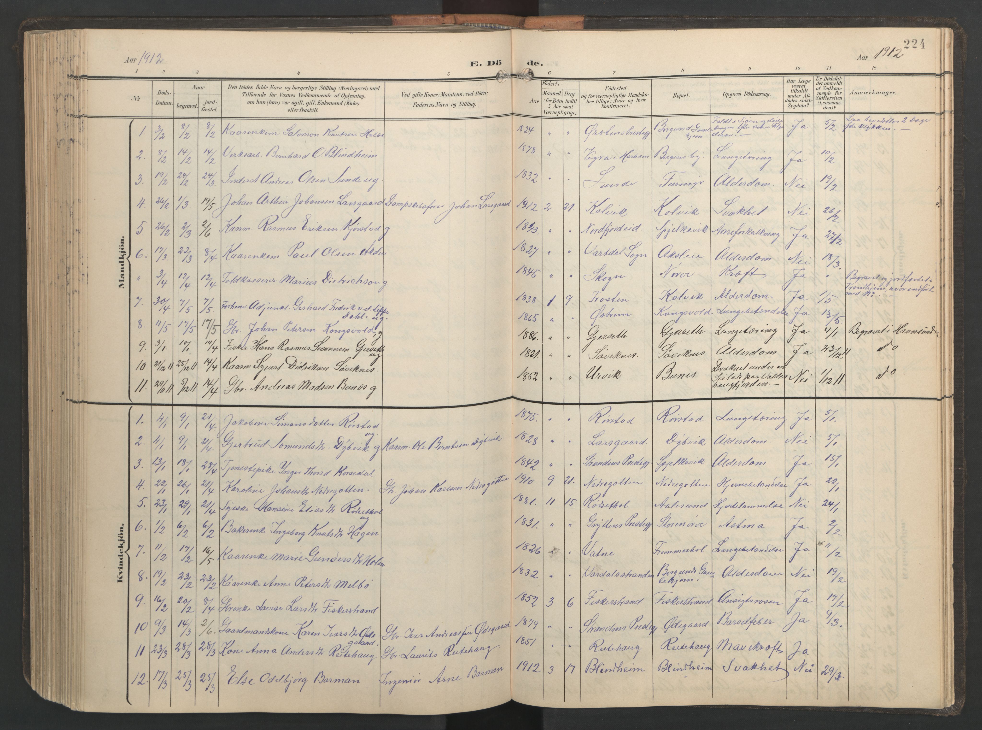 Ministerialprotokoller, klokkerbøker og fødselsregistre - Møre og Romsdal, AV/SAT-A-1454/528/L0433: Parish register (copy) no. 528C14, 1899-1922, p. 224