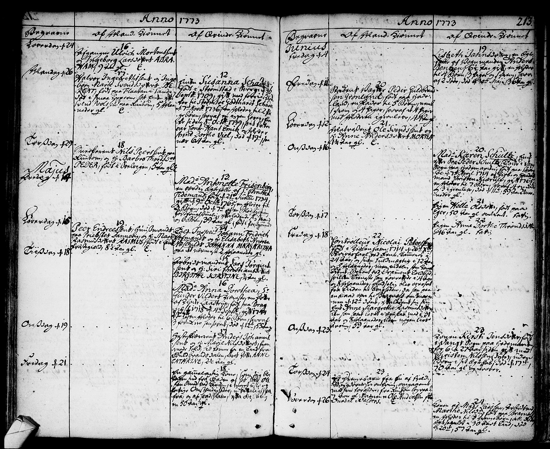 Strømsø kirkebøker, SAKO/A-246/F/Fa/L0009: Parish register (official) no. I 9, 1752-1791, p. 213