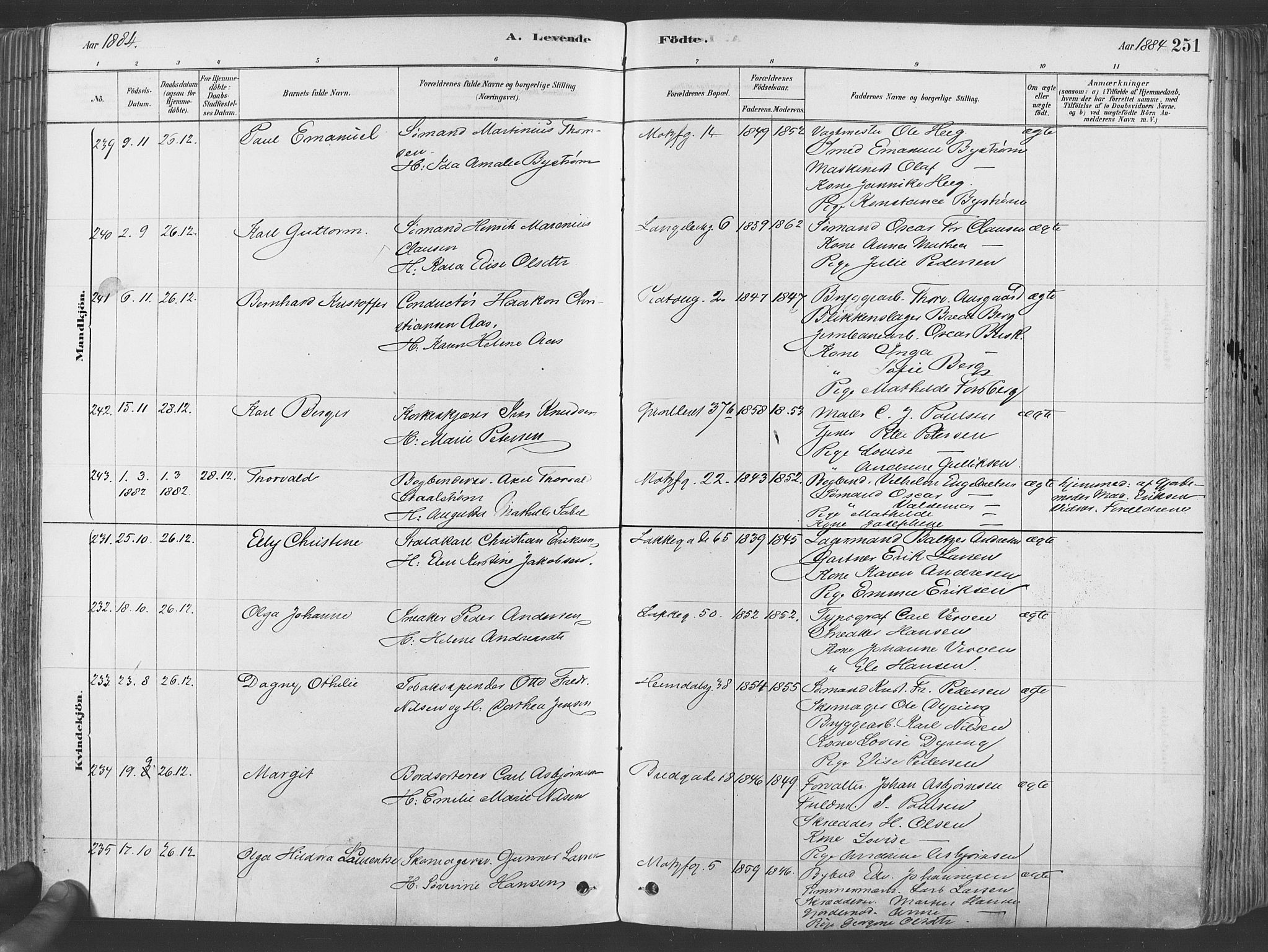 Grønland prestekontor Kirkebøker, AV/SAO-A-10848/F/Fa/L0007: Parish register (official) no. 7, 1878-1888, p. 251