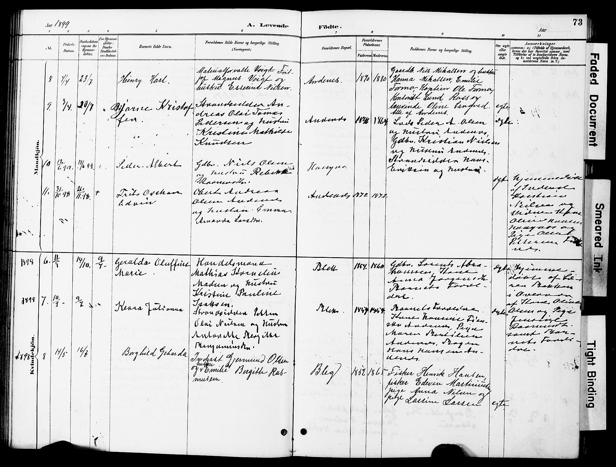 Ministerialprotokoller, klokkerbøker og fødselsregistre - Nordland, AV/SAT-A-1459/899/L1448: Parish register (copy) no. 899C03, 1887-1902, p. 73