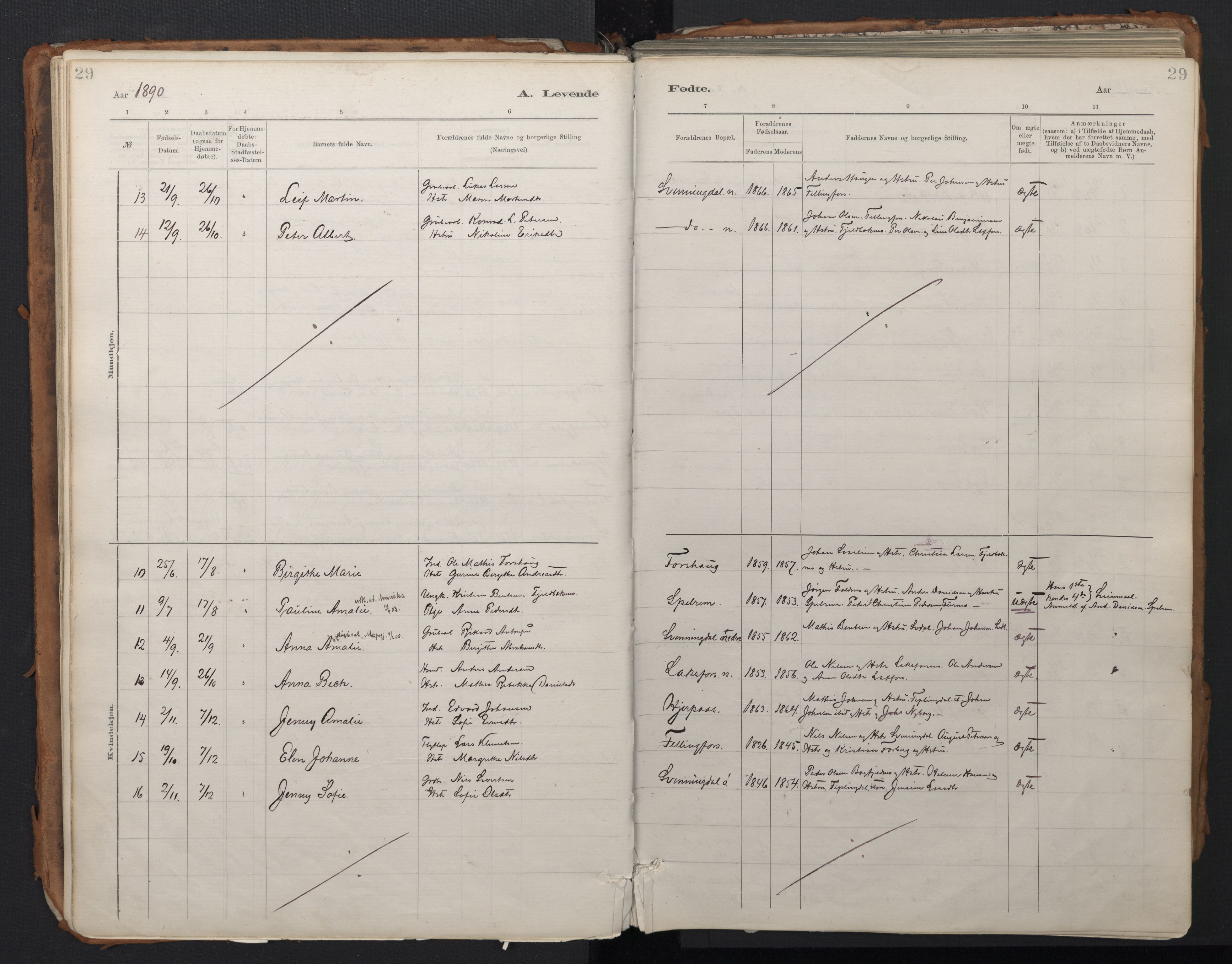 Ministerialprotokoller, klokkerbøker og fødselsregistre - Nordland, AV/SAT-A-1459/824/L0338: Parish register (official) no. 824A01, 1880-1915, p. 29