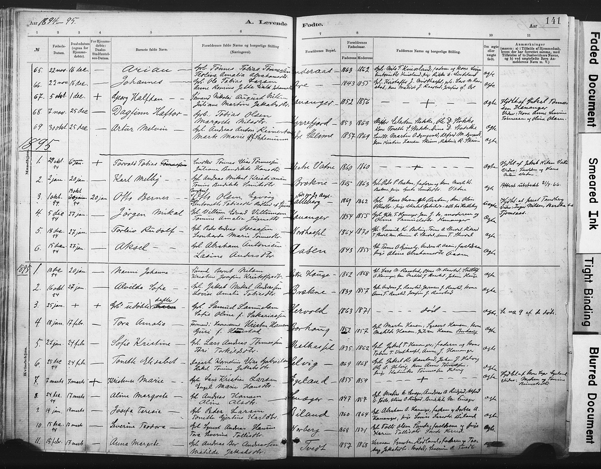 Lista sokneprestkontor, AV/SAK-1111-0027/F/Fa/L0012: Parish register (official) no. A 12, 1879-1903, p. 141