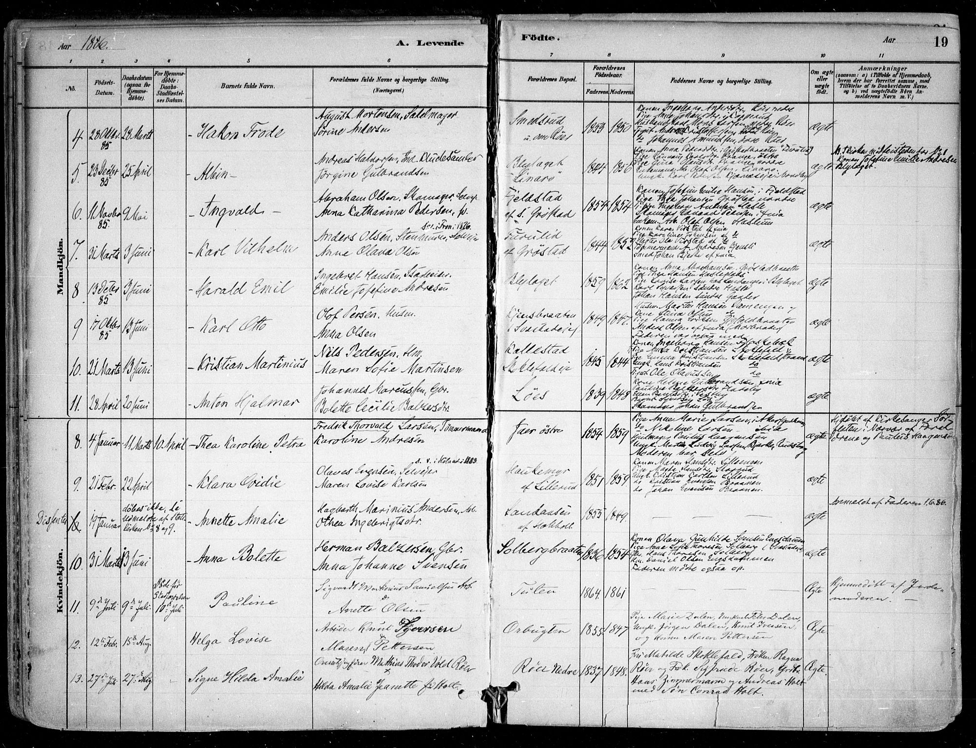 Nesodden prestekontor Kirkebøker, AV/SAO-A-10013/F/Fa/L0009: Parish register (official) no. I 9, 1880-1915, p. 19