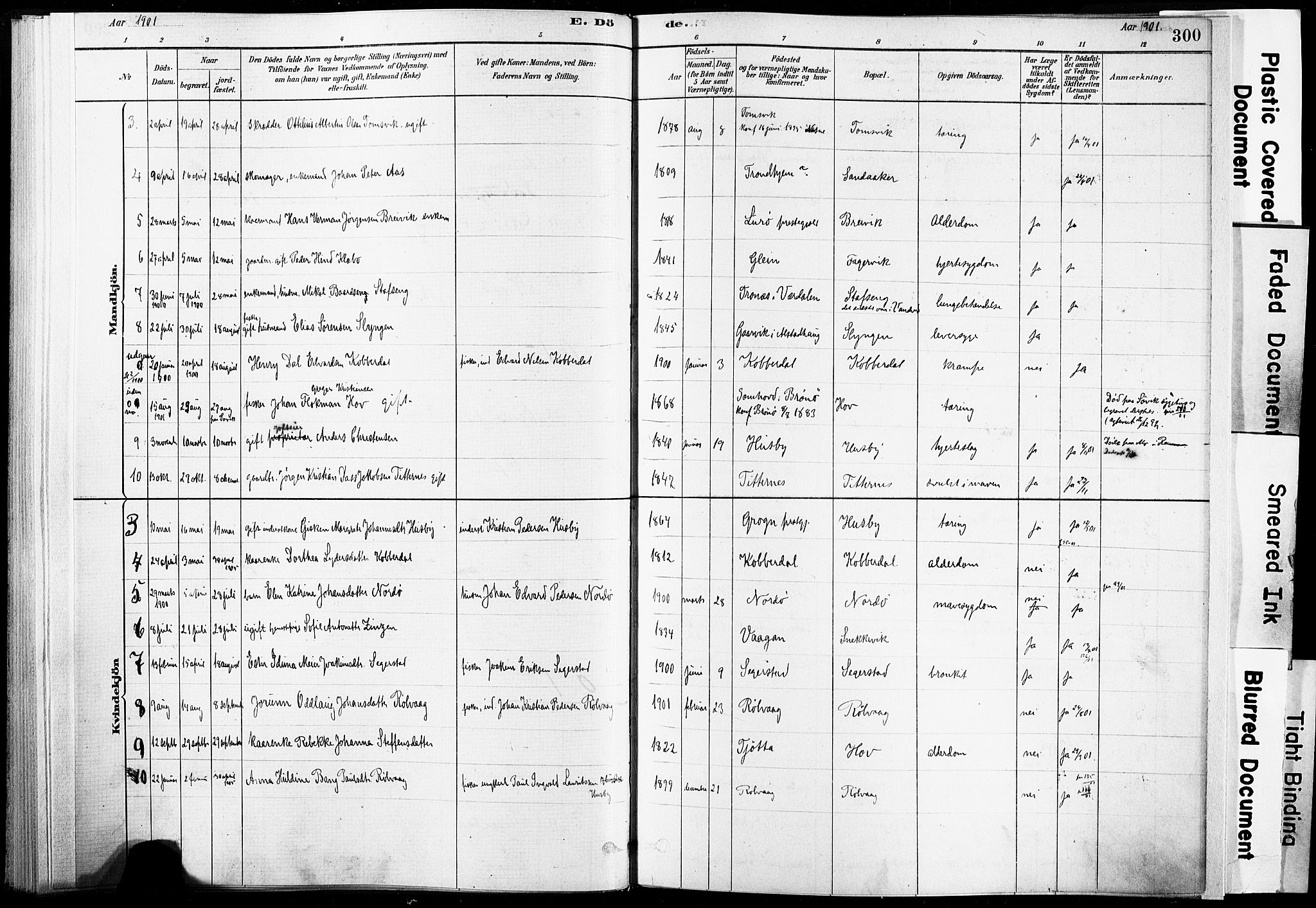 Ministerialprotokoller, klokkerbøker og fødselsregistre - Nordland, SAT/A-1459/835/L0526: Parish register (official) no. 835A03II, 1881-1910, p. 300