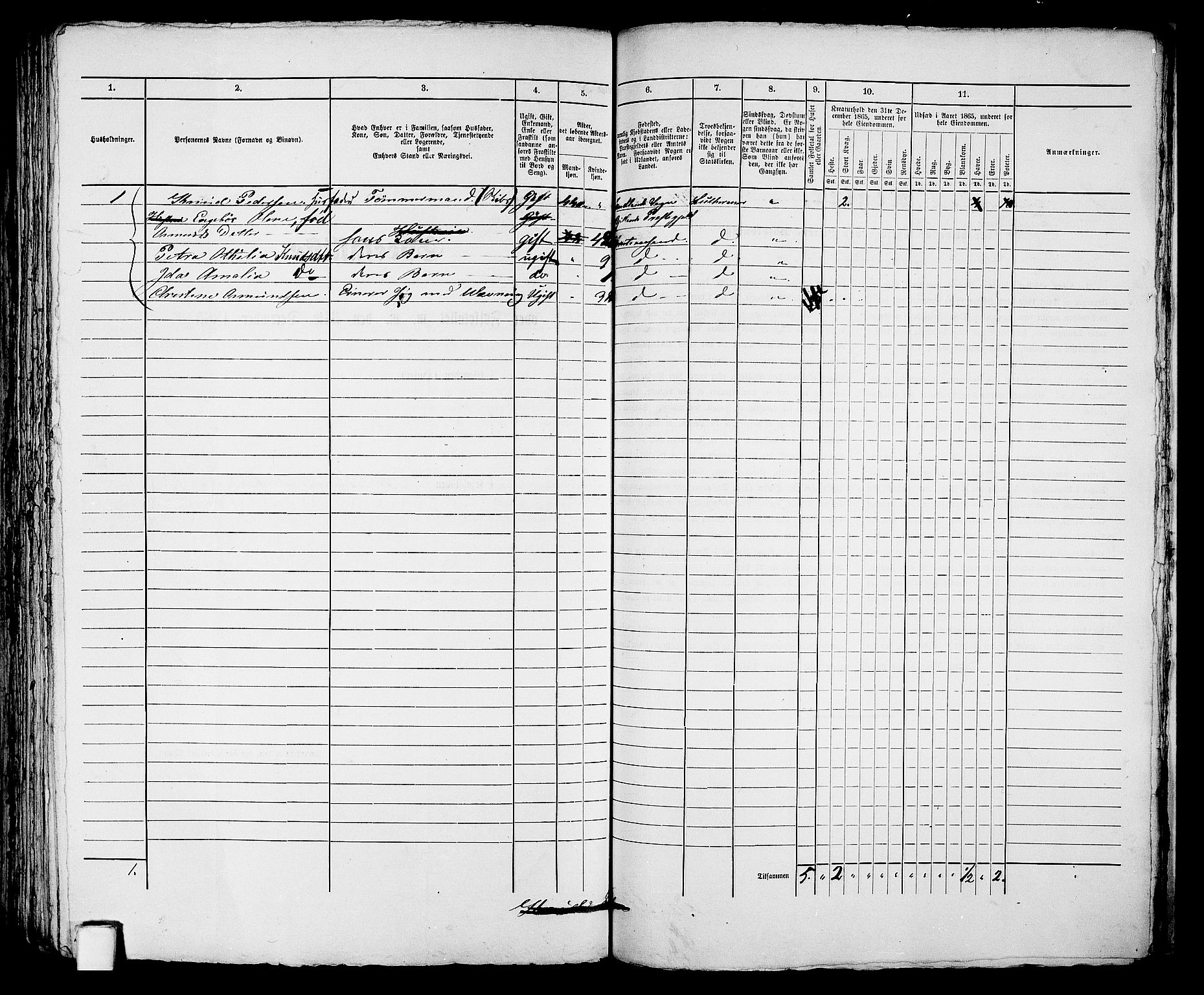 RA, 1865 census for Kristiansand, 1865, p. 2002