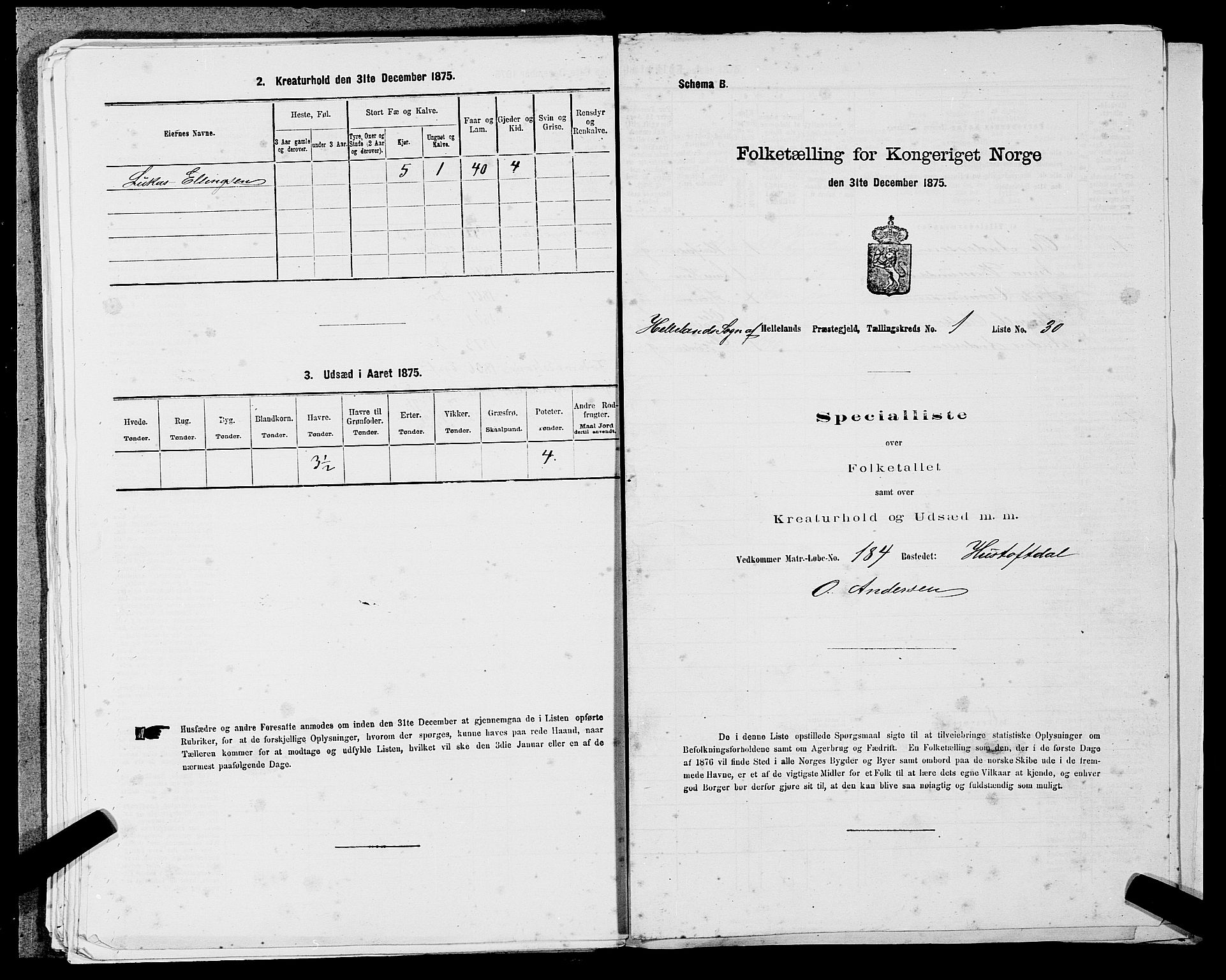 SAST, 1875 census for 1115P Helleland, 1875, p. 125