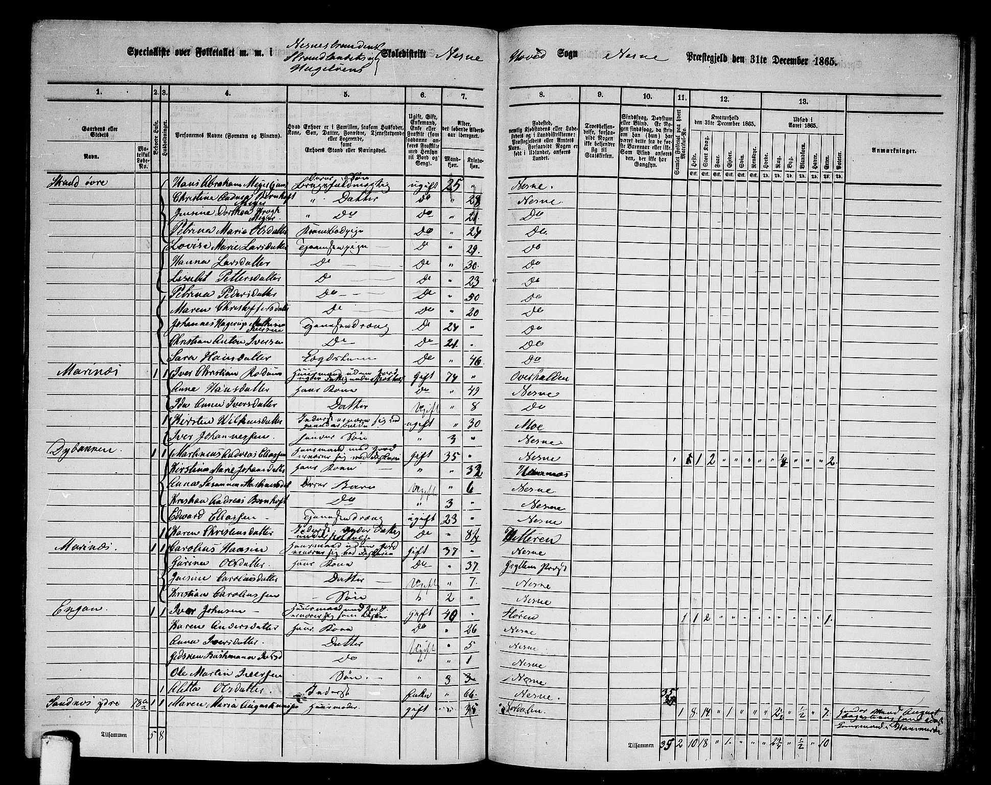 RA, 1865 census for Nesna, 1865, p. 126