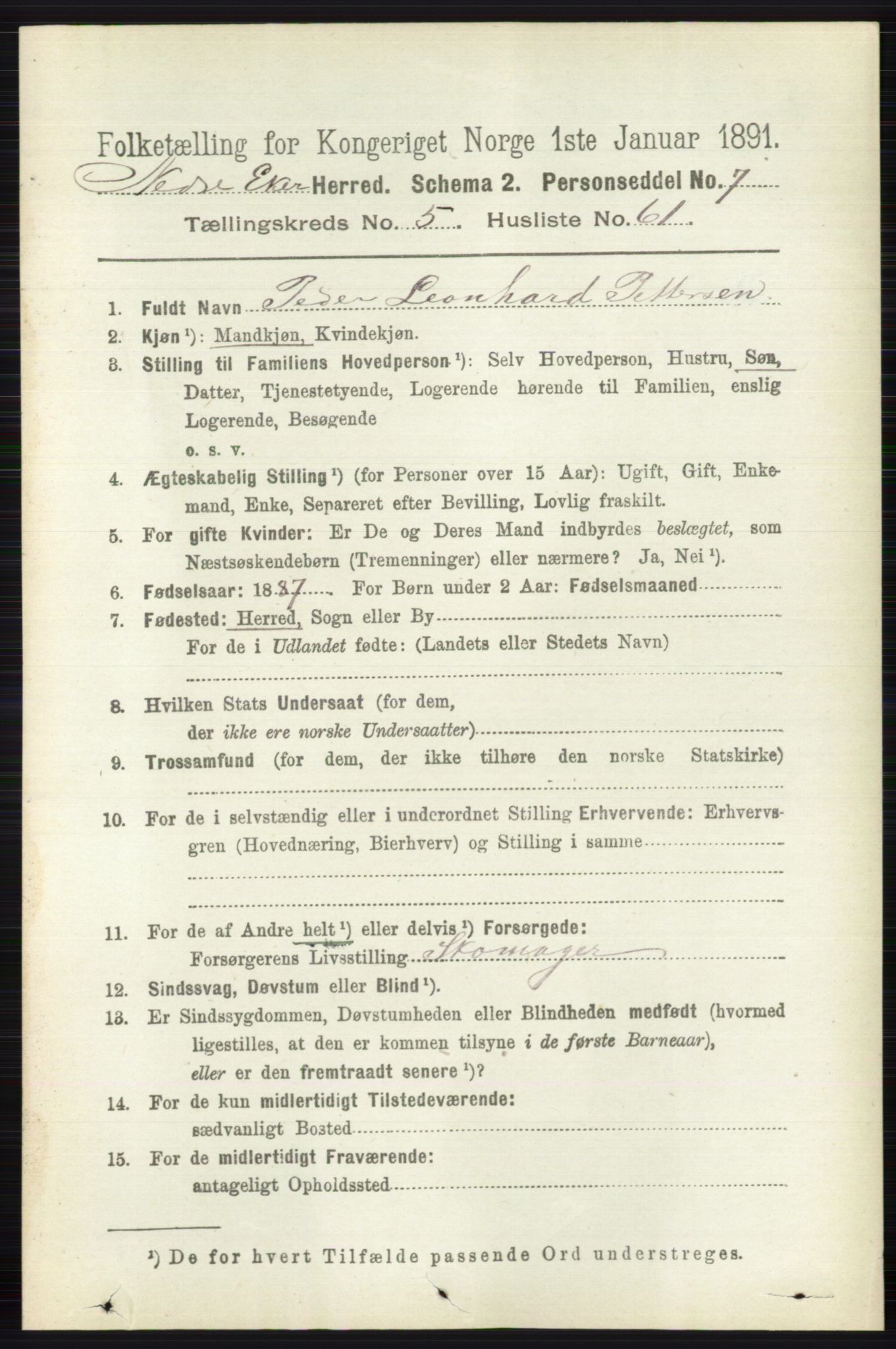 RA, 1891 census for 0625 Nedre Eiker, 1891, p. 2704
